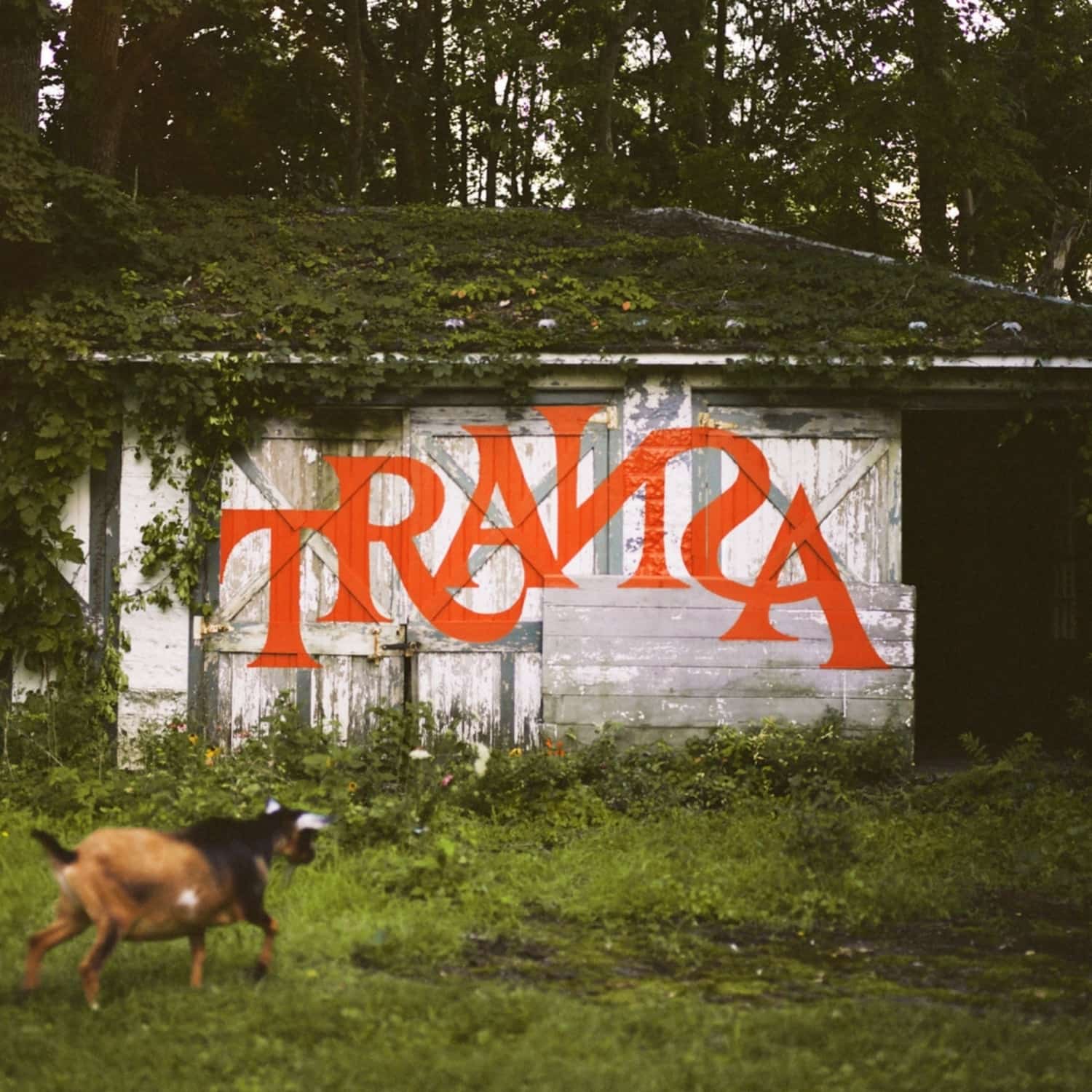 Various - TRANSA 