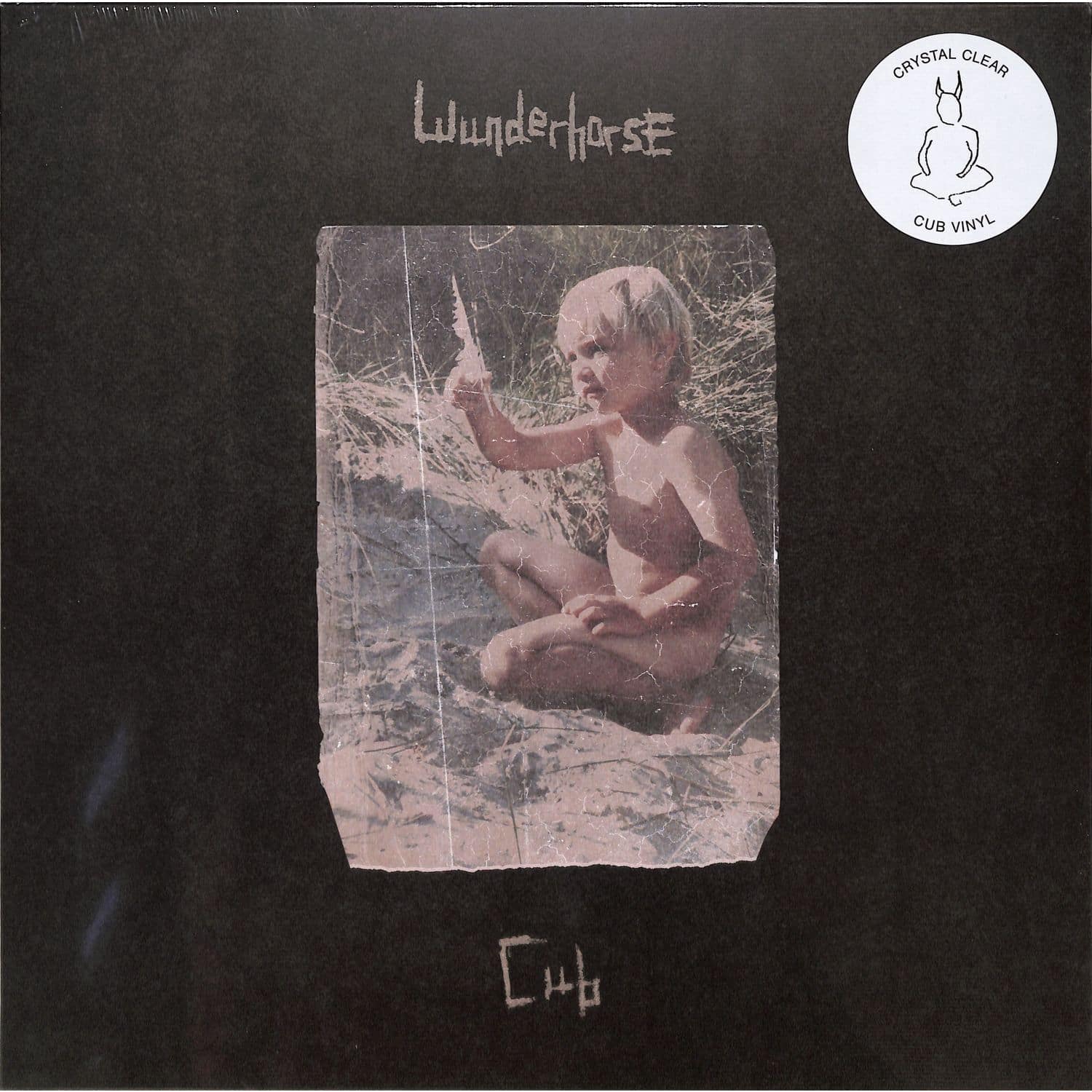 Wunderhorse - CUB 