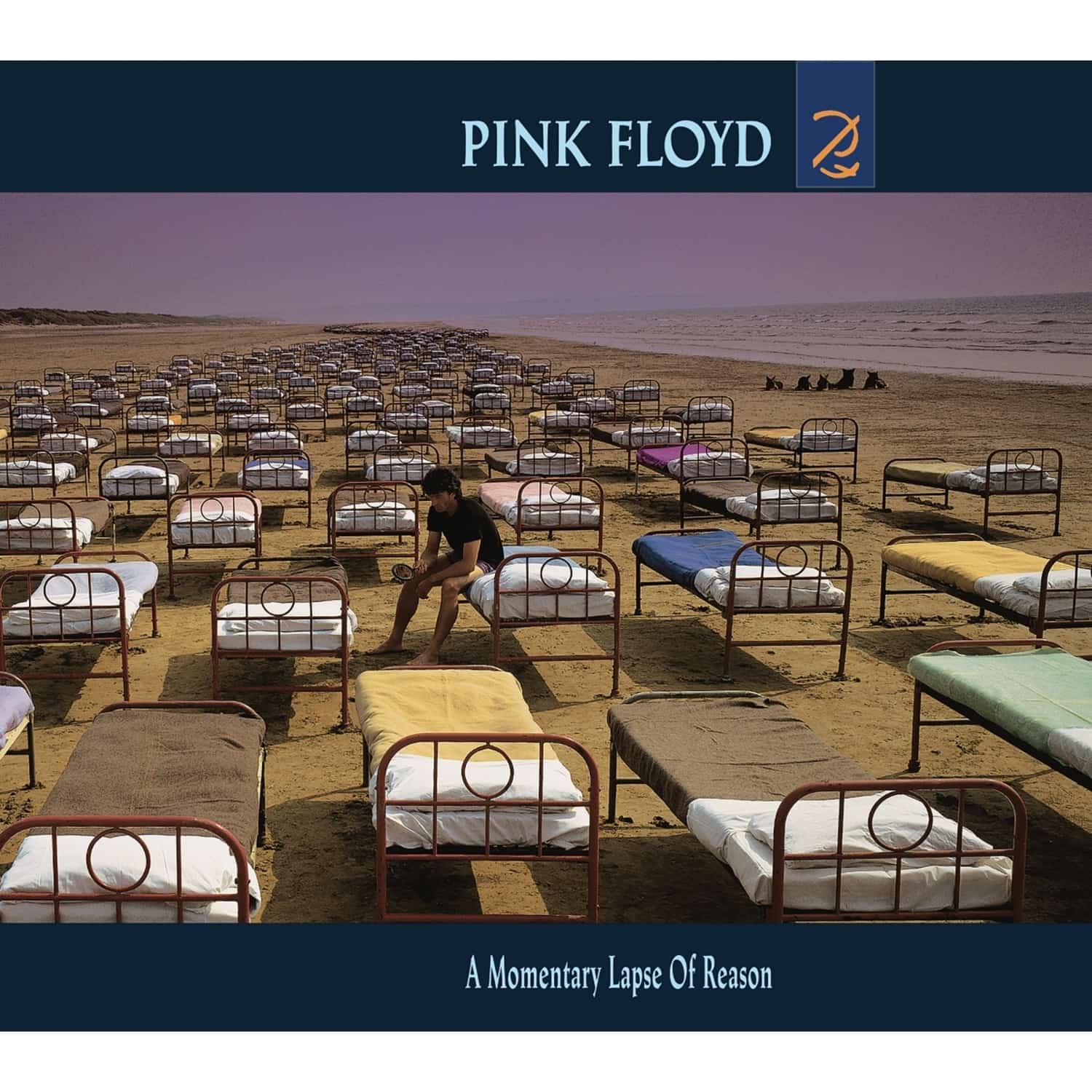 Pink Floyd - A MOMENTARY LAPSE OF REASON 