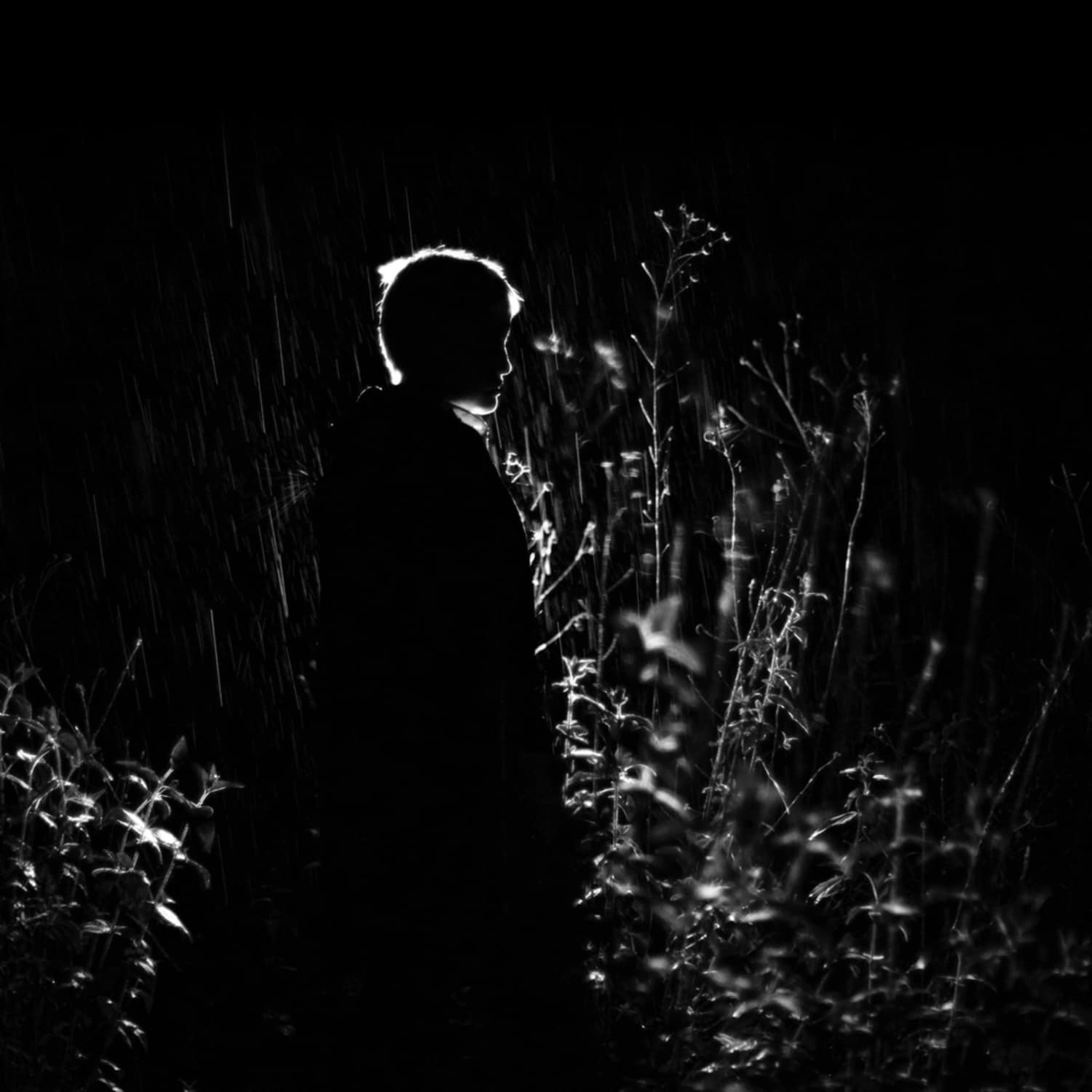 Alejandra Cardenas  - A BODY LIKE A HOME 