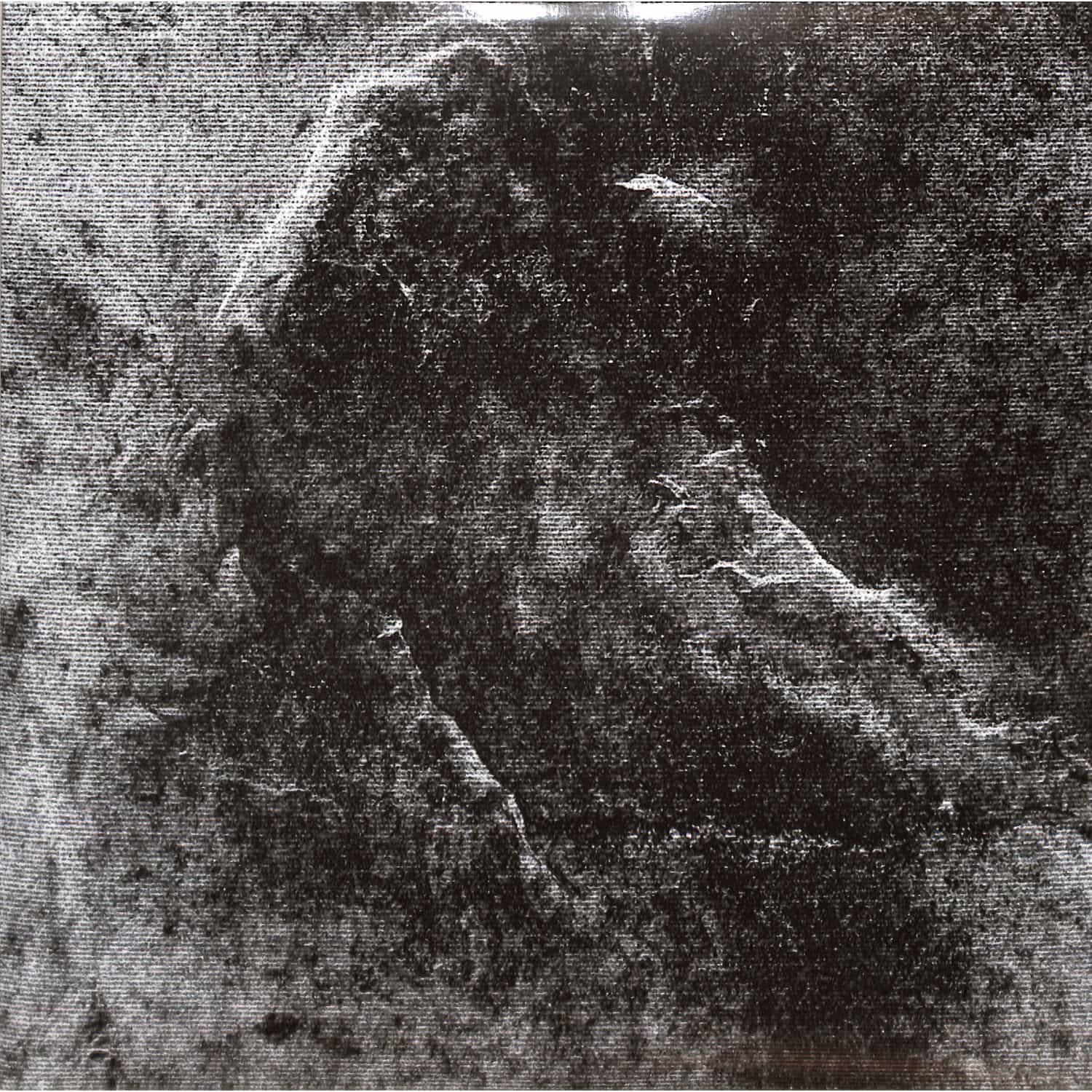 Paulitical - BASEMENT EXILES