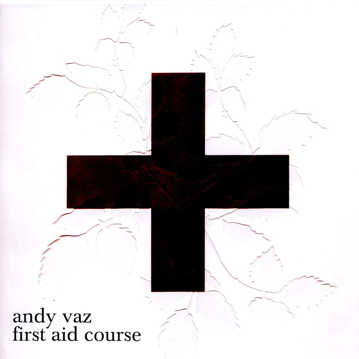 Andy Vaz - FIRST AID COURSE
