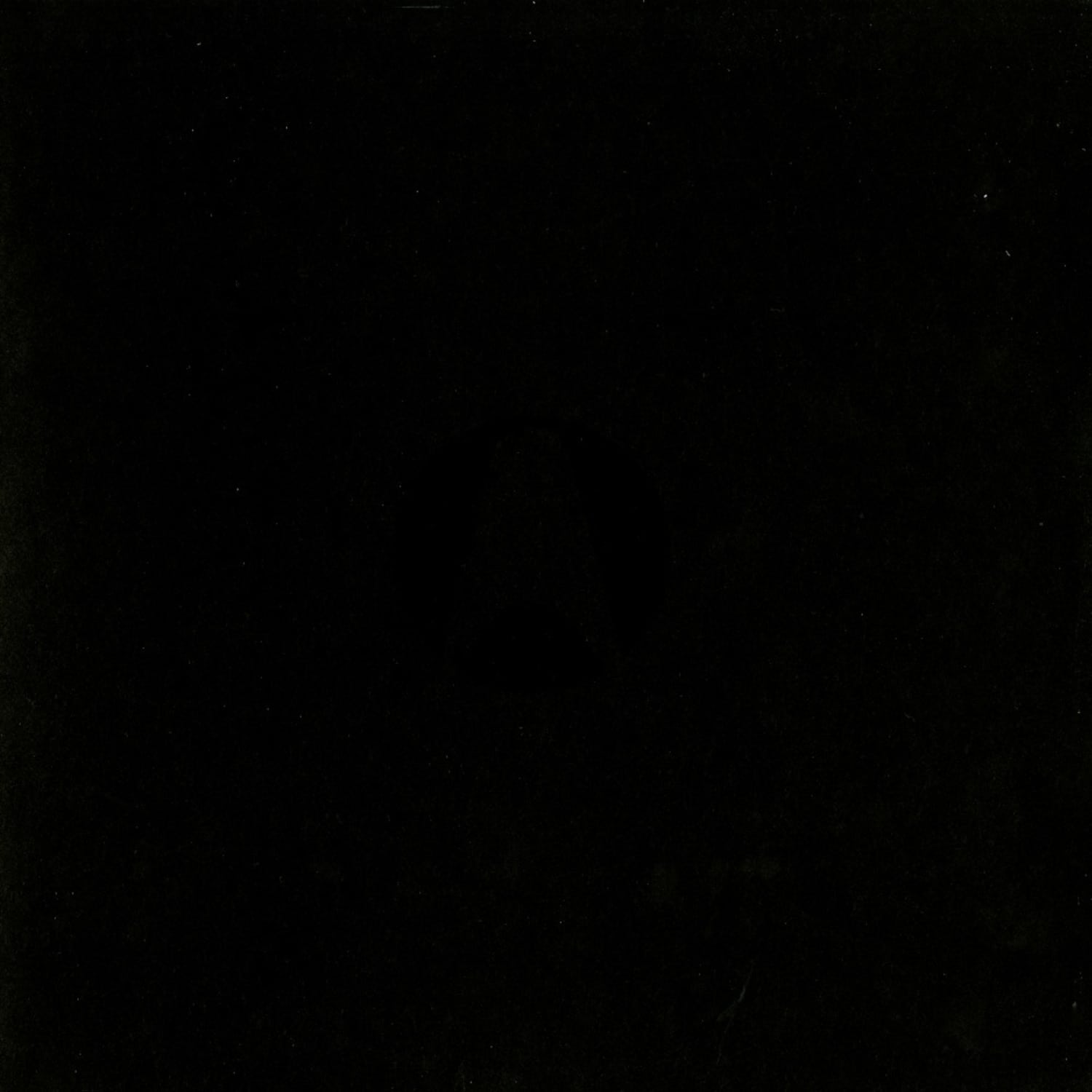 Rik Woldring - DISCO PUSSY