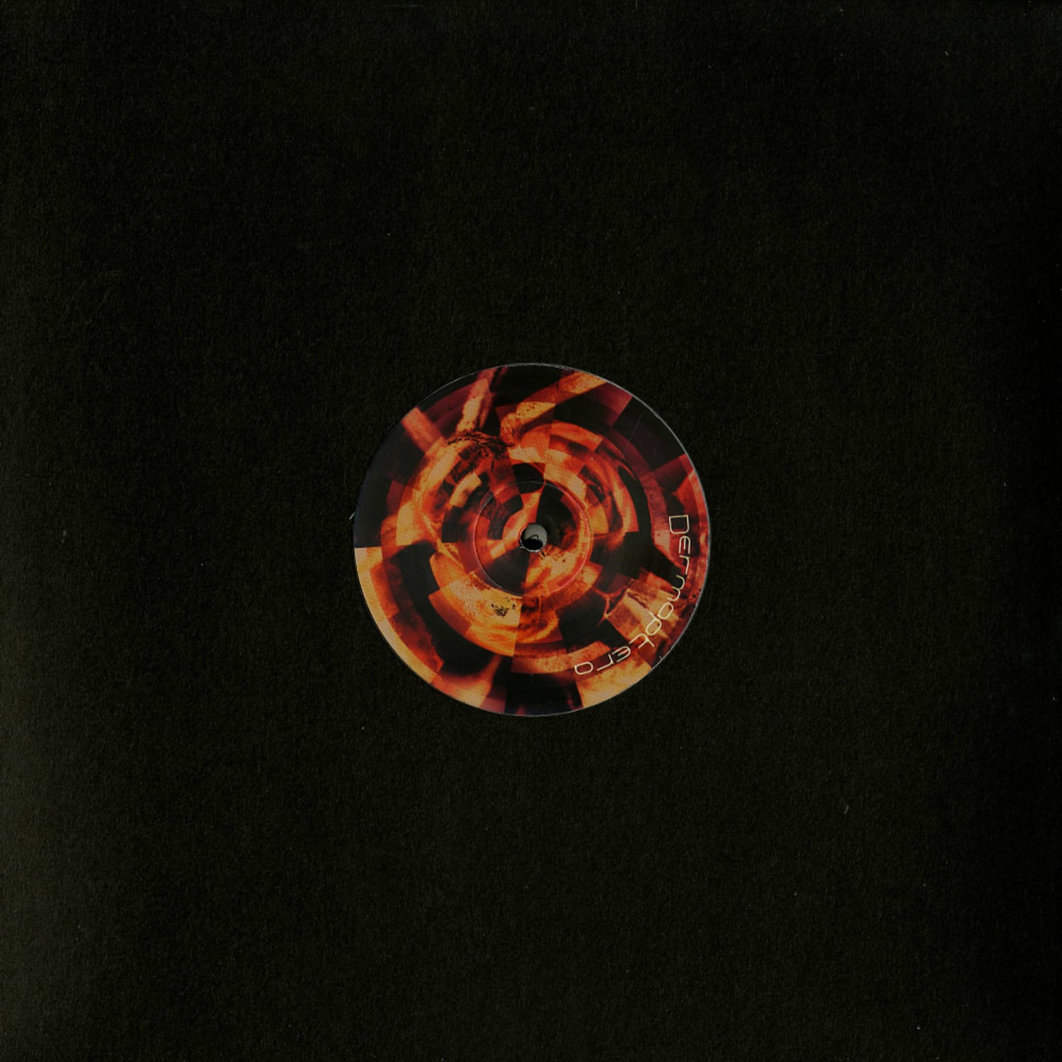 Dermaptera - DERMAPTERA 005 + 006 