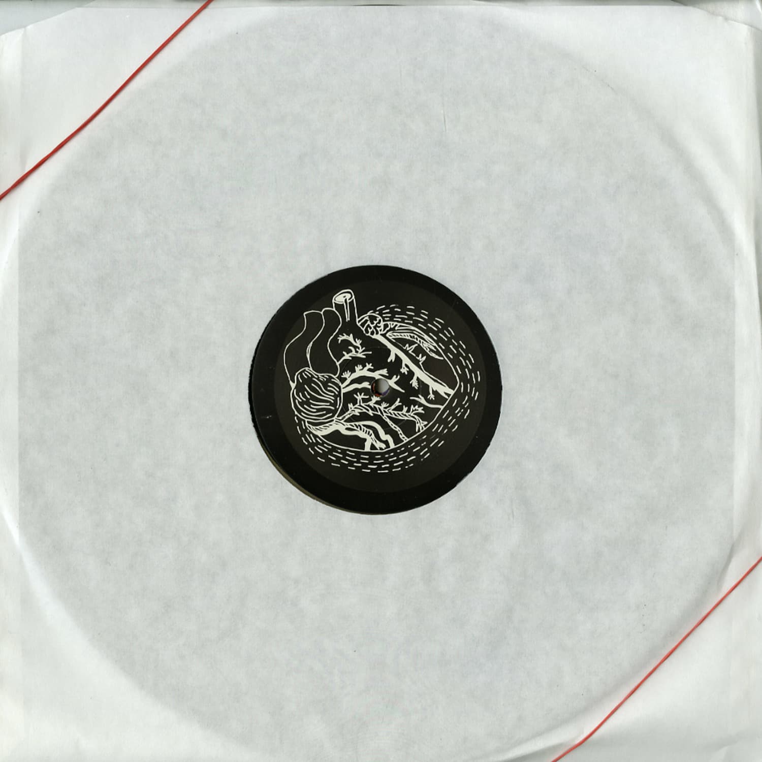 Various Artists - BACK AND FORTH PACK 2