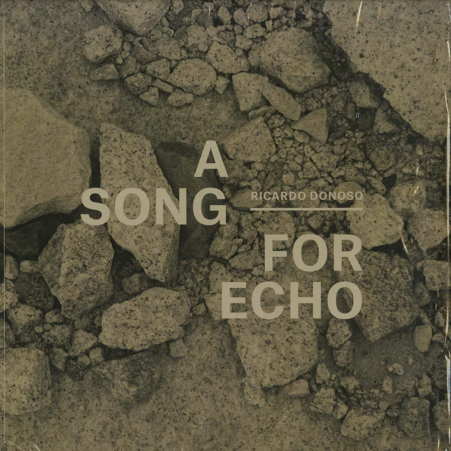Ricardo Donoso - A SONG FOR ECHO 