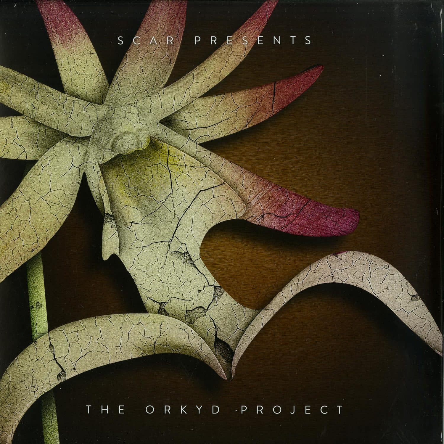 SCAR - THE ORKYD PROJECT 