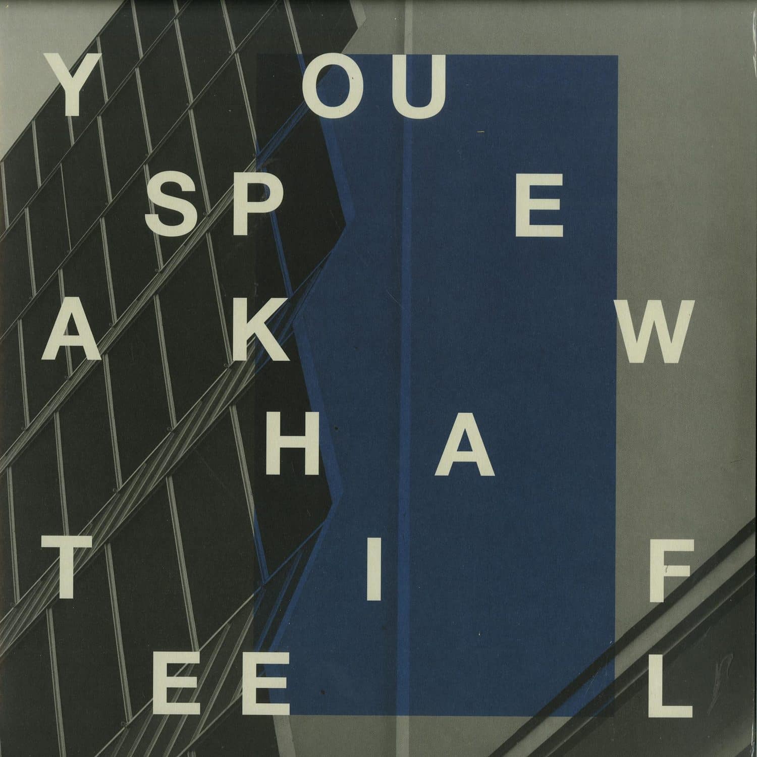 You Speak What I Feel aka DJ Sprinkles & SND - YOU SPEAK WHAT I FEEL