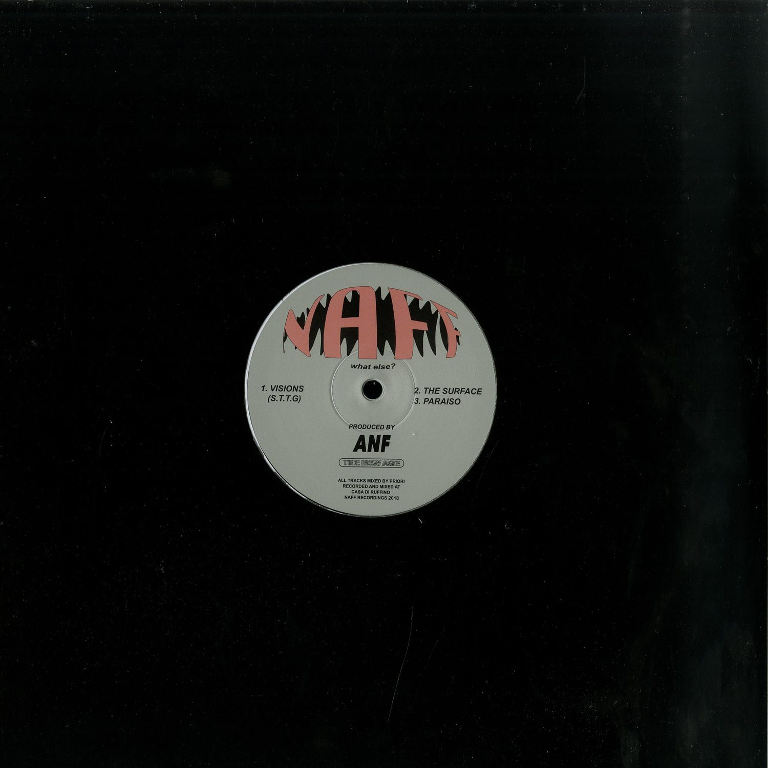 ANF - VISIONS