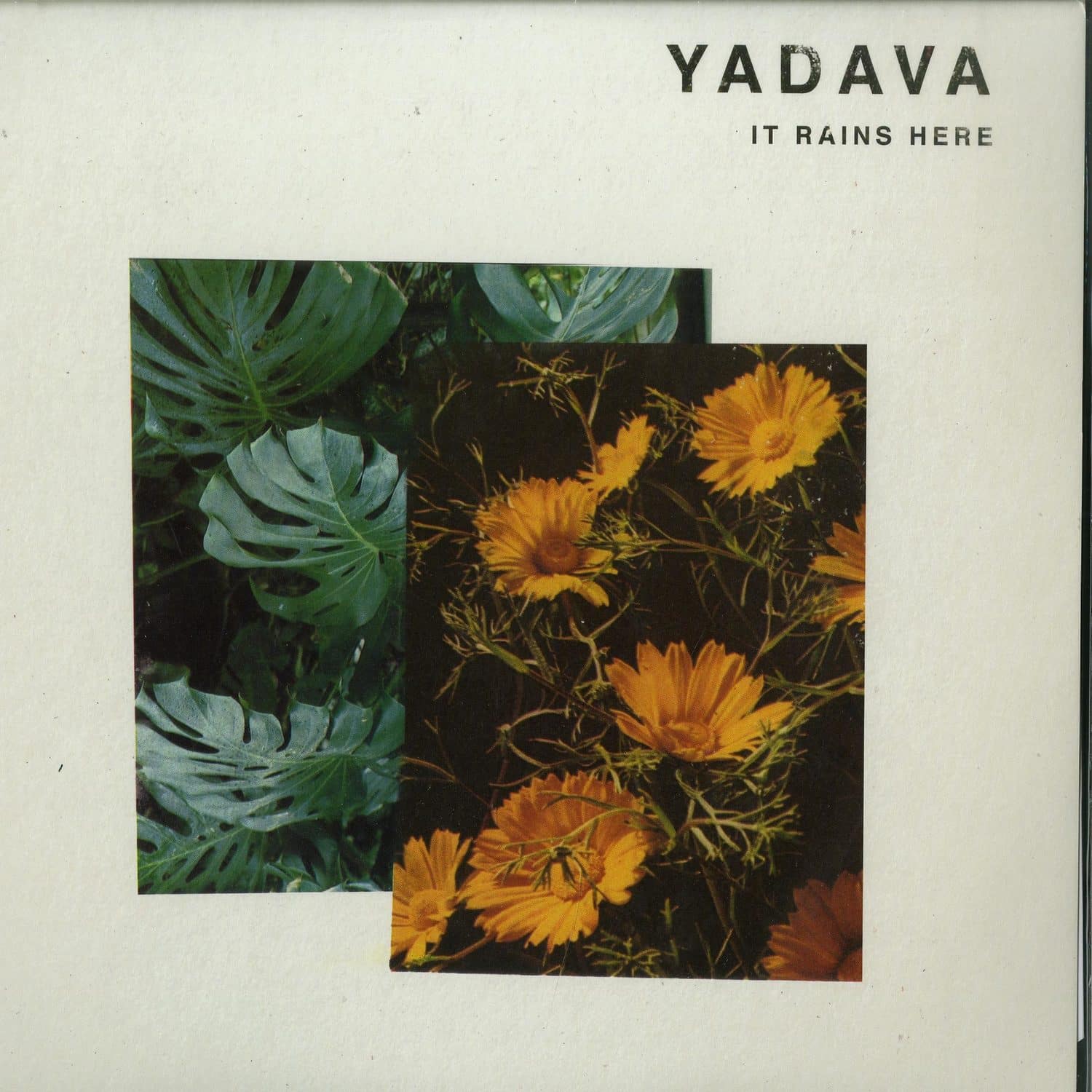 Yadava - IT RAINS HERE 
