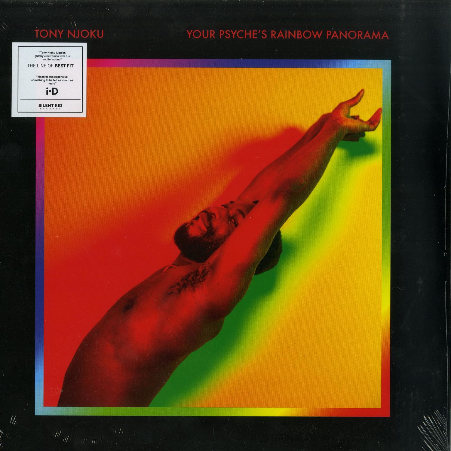 Tony Njoku - YOUR PSYCHES RAINBOW PANORAMA  