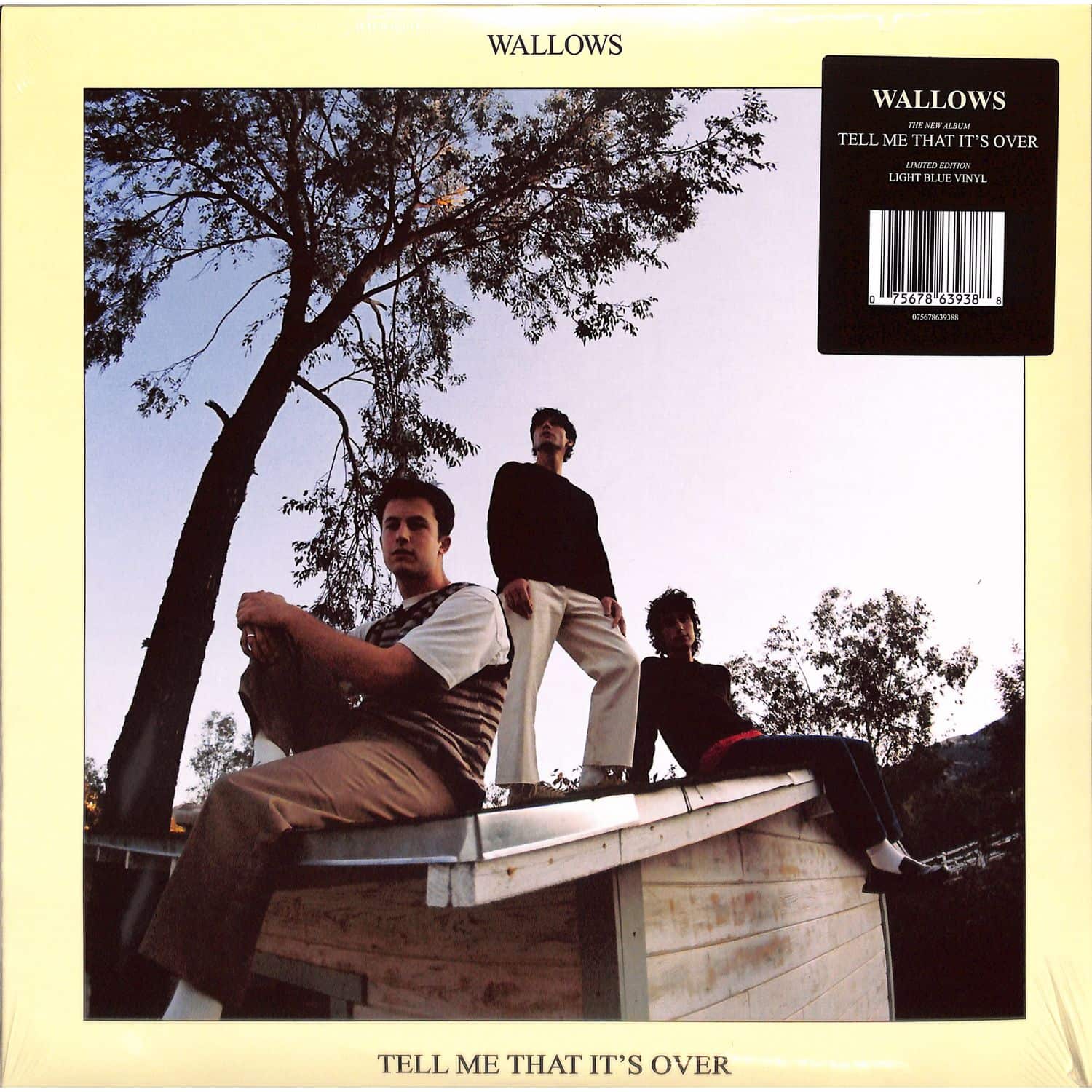 Wallows - TELL ME THAT IT S OVER