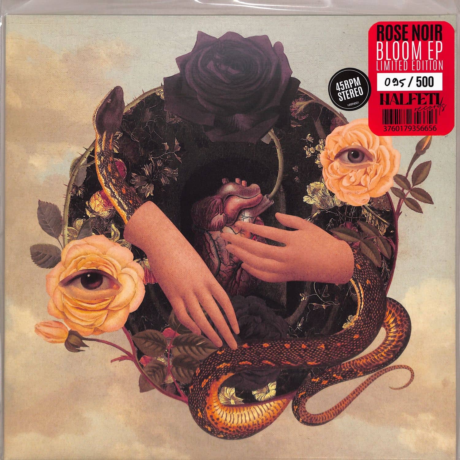 Rose Noir - BLOOM 
