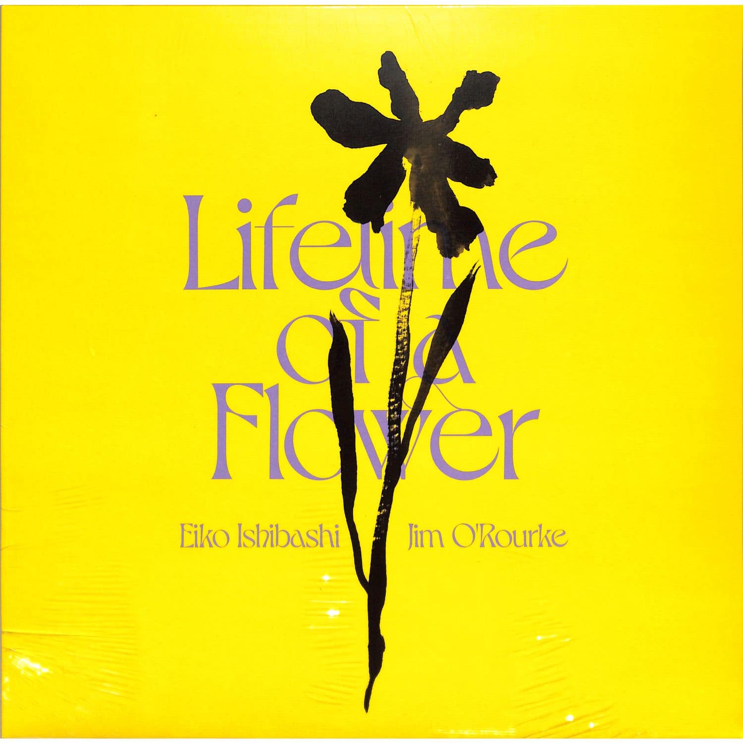 Eiko Ishibashi / Jim O Rourke - LIFETIME OF A FLOWER