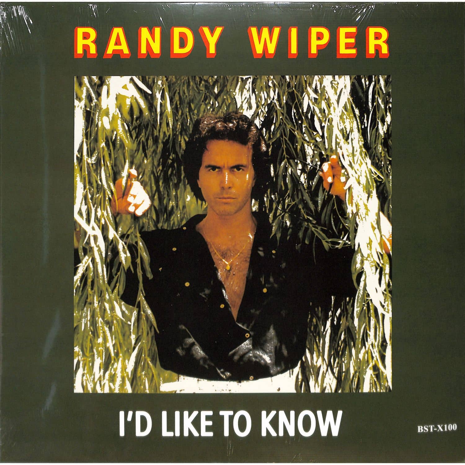 Randy Wiper - ID LIKE TO KNOW