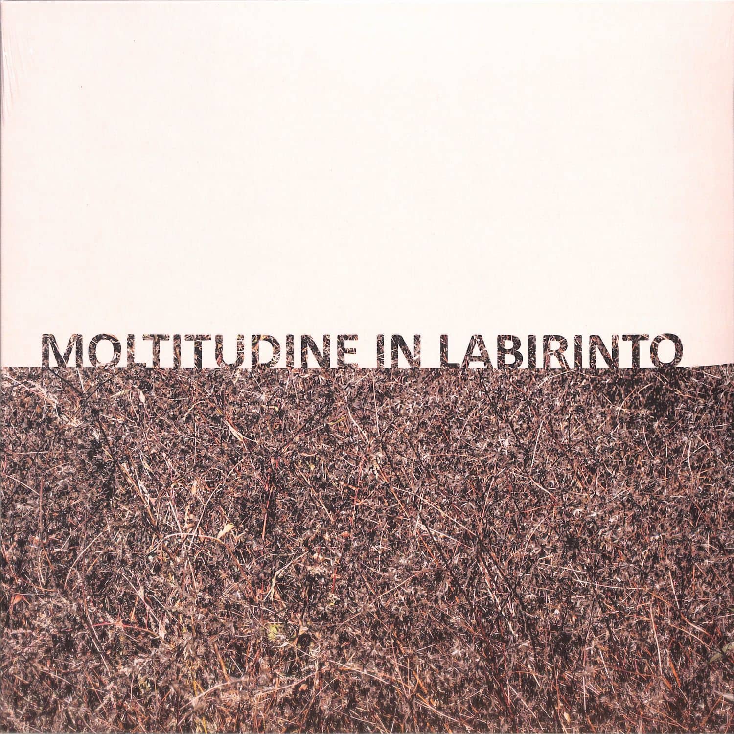 Gigi Masin & Giuseppe Caprioli - MOLTITUDINE IN LABIRINTO 