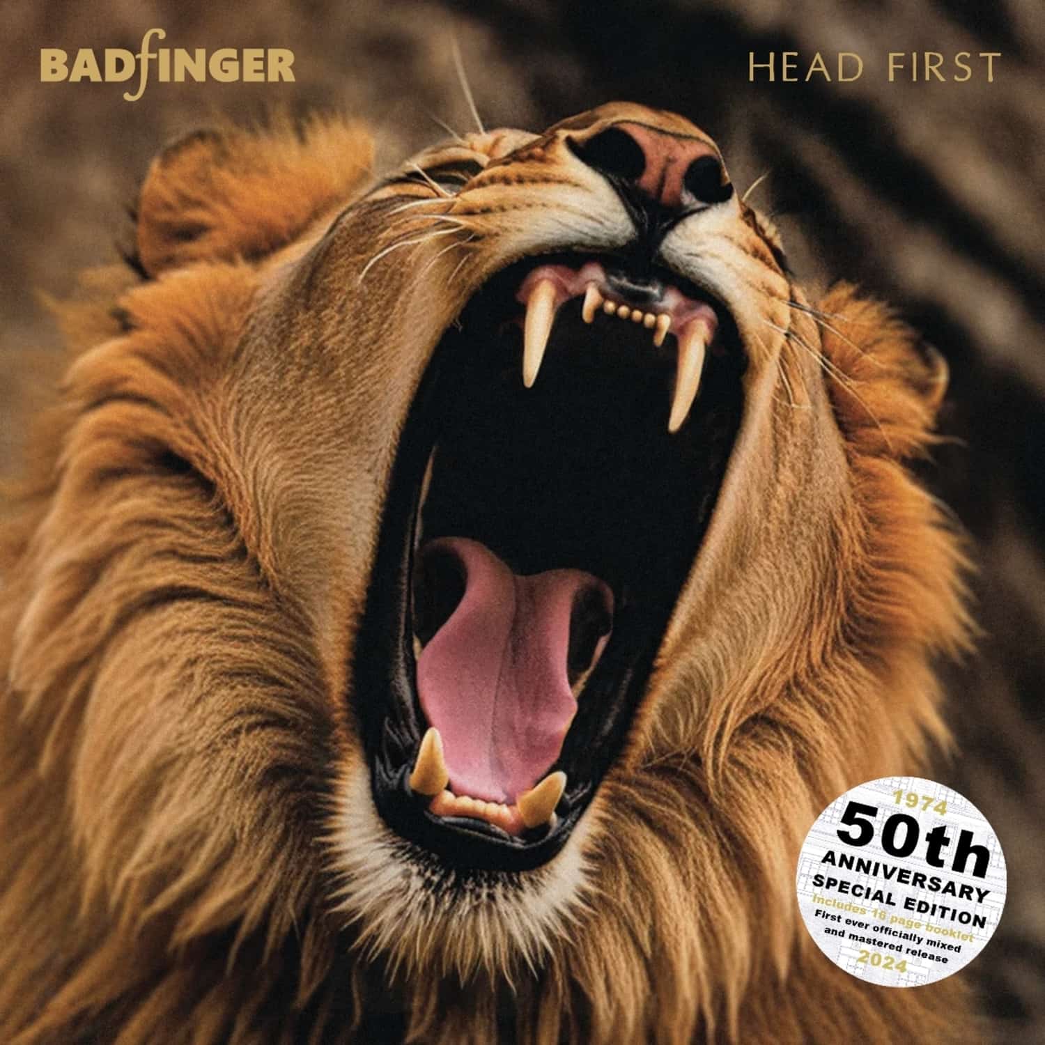 Badfinger - HEAD FIRST 
