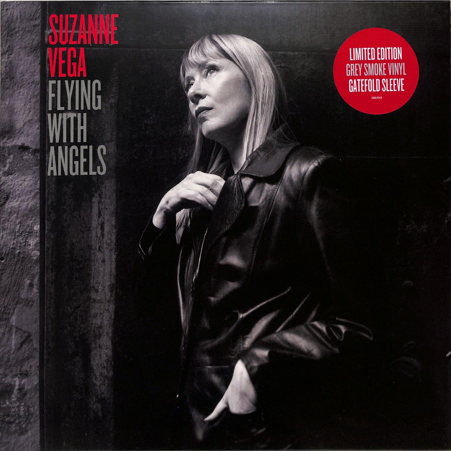 Suzanne Vega - FLYING WITH ANGELS 