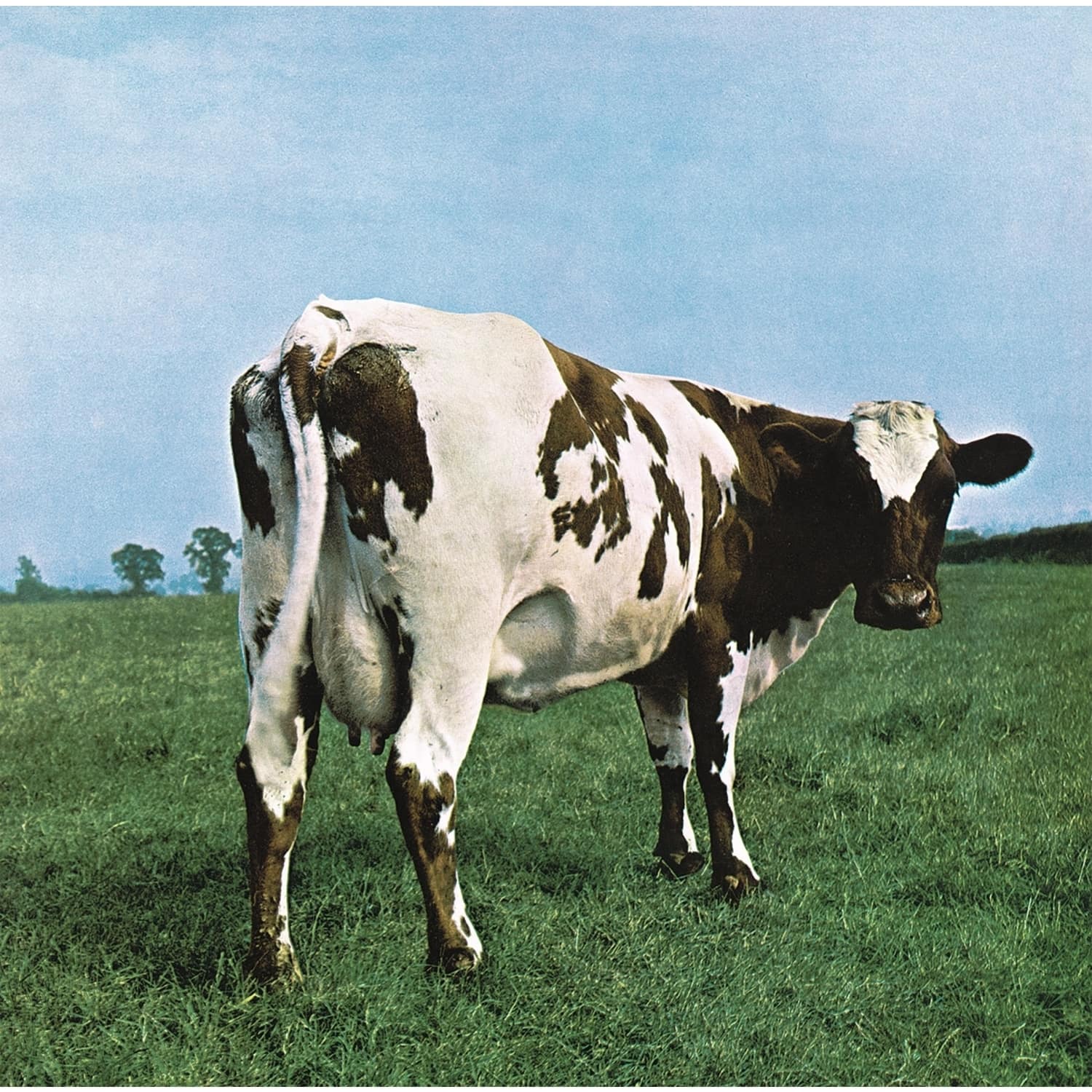 Pink Floyd - ATOM HEART MOTHER 