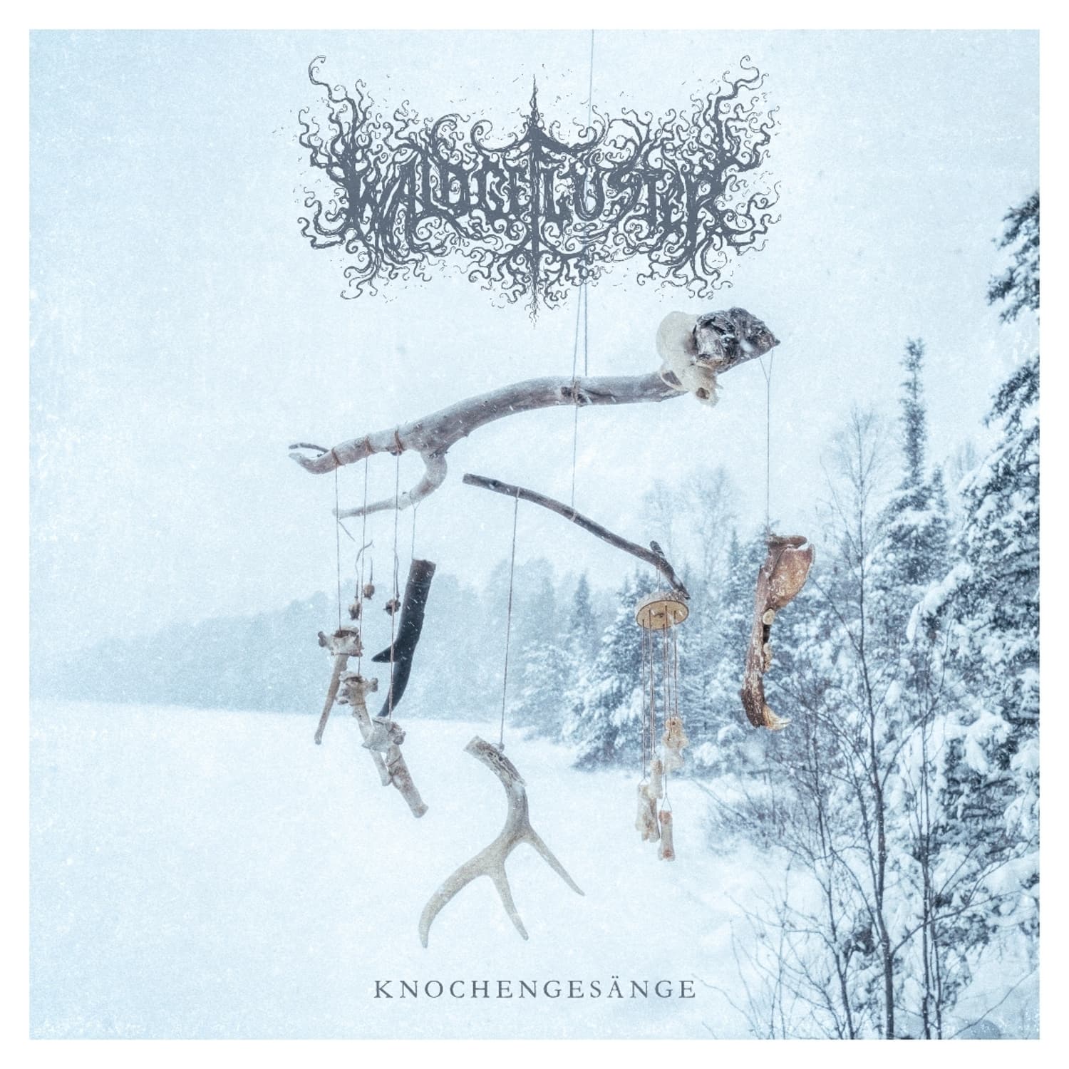 Waldgeflster - KNOCHENGESNGE 