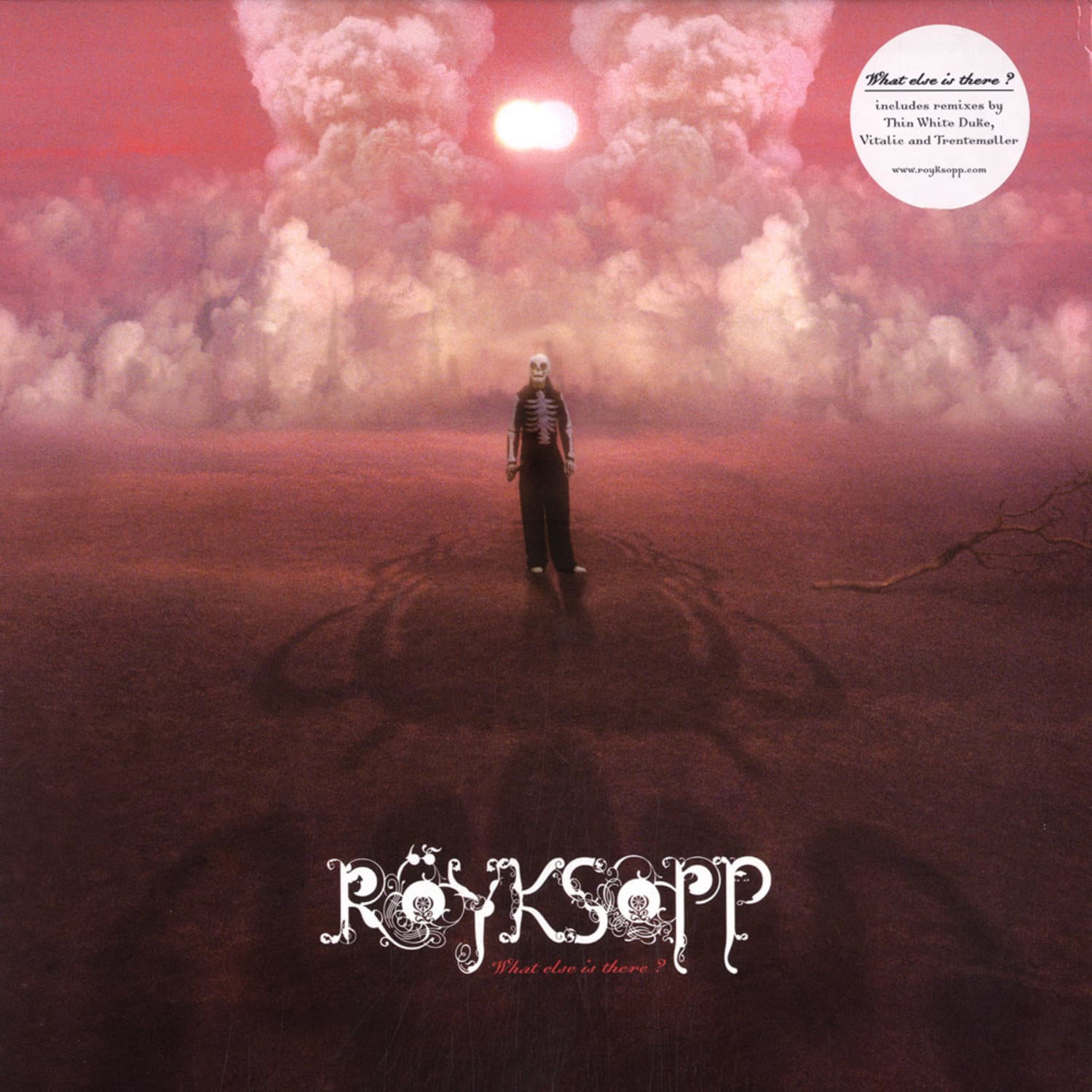 Royksopp - WHAT ELSE IS THERE ?