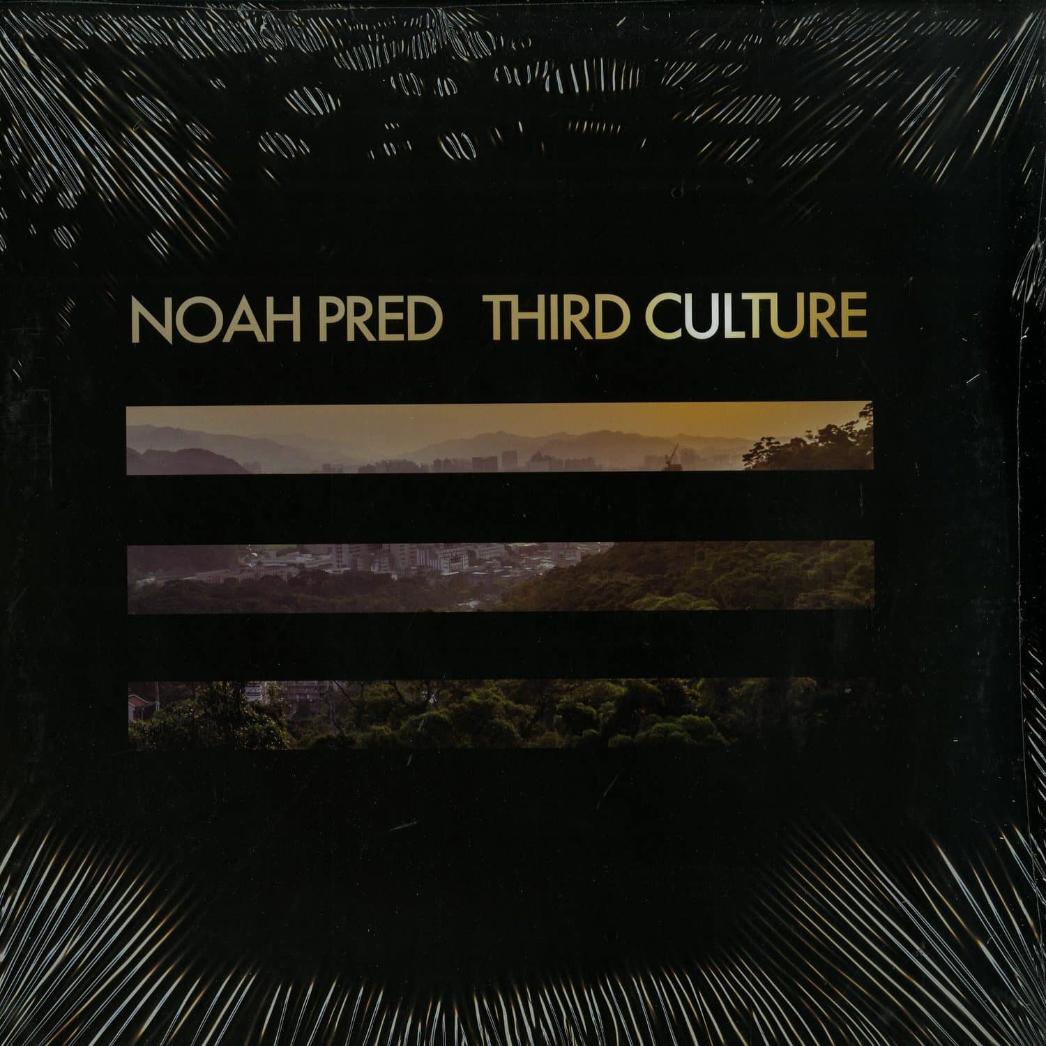 Noah Pred - THIRD CULTURE 