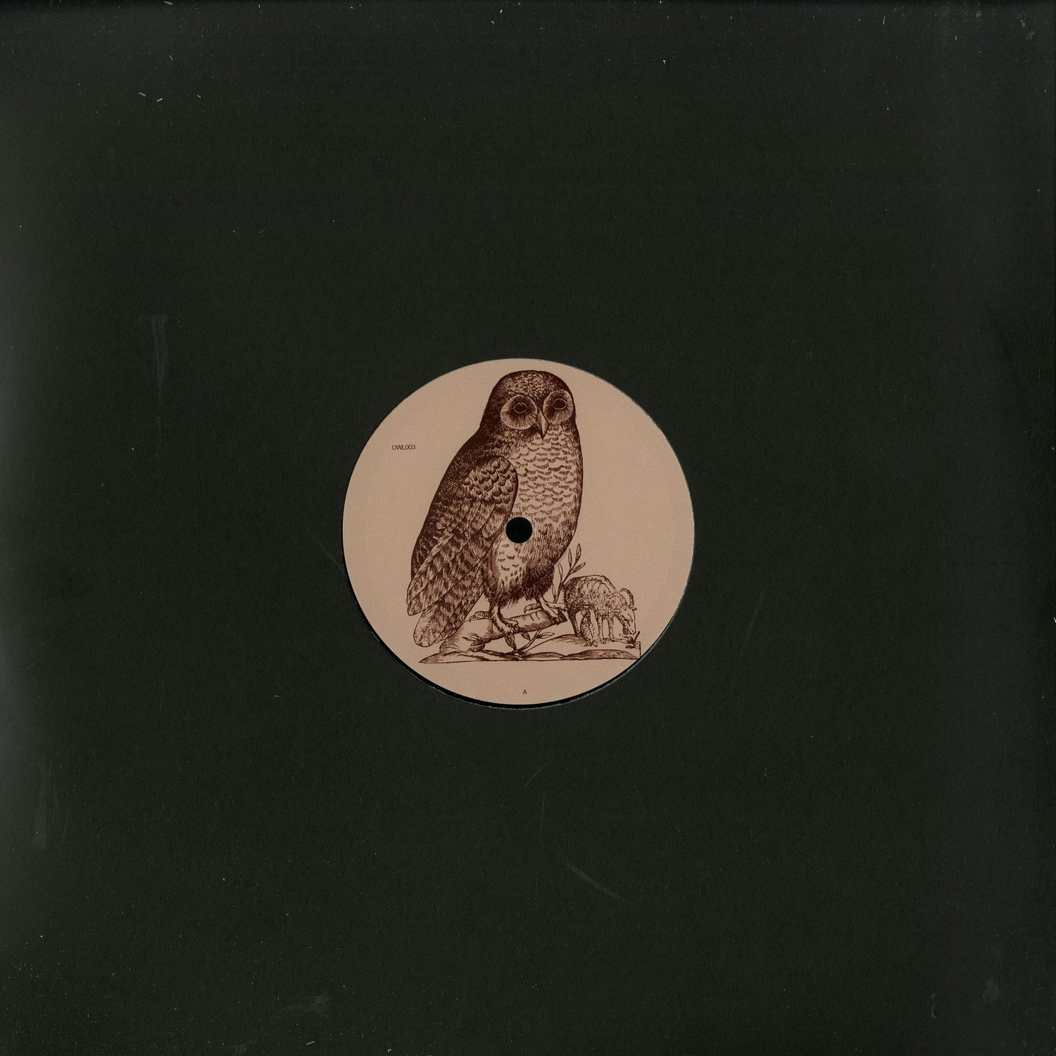 Unknown Artist - OWL 3 