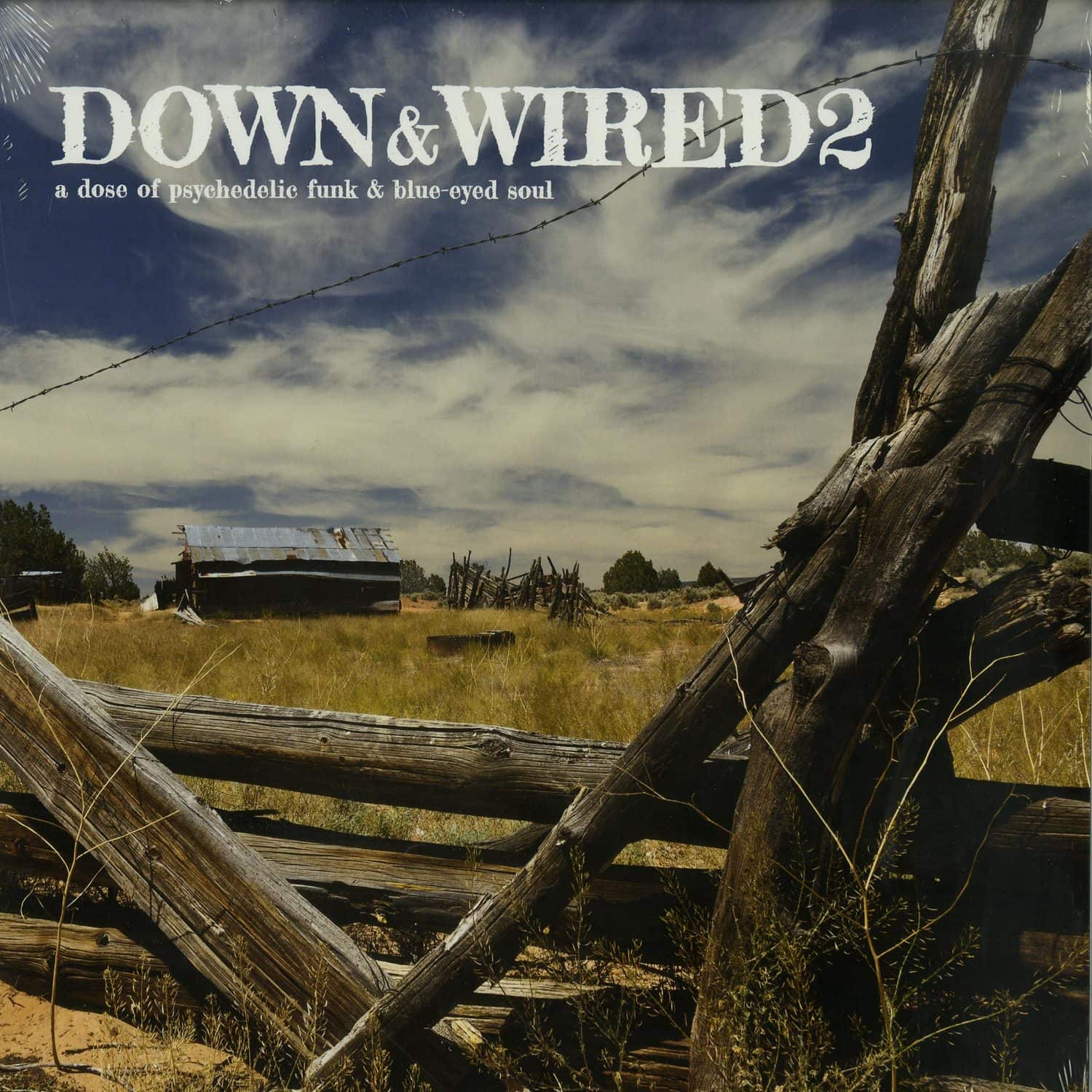 Various Artists - DOWN & WIRED 2 