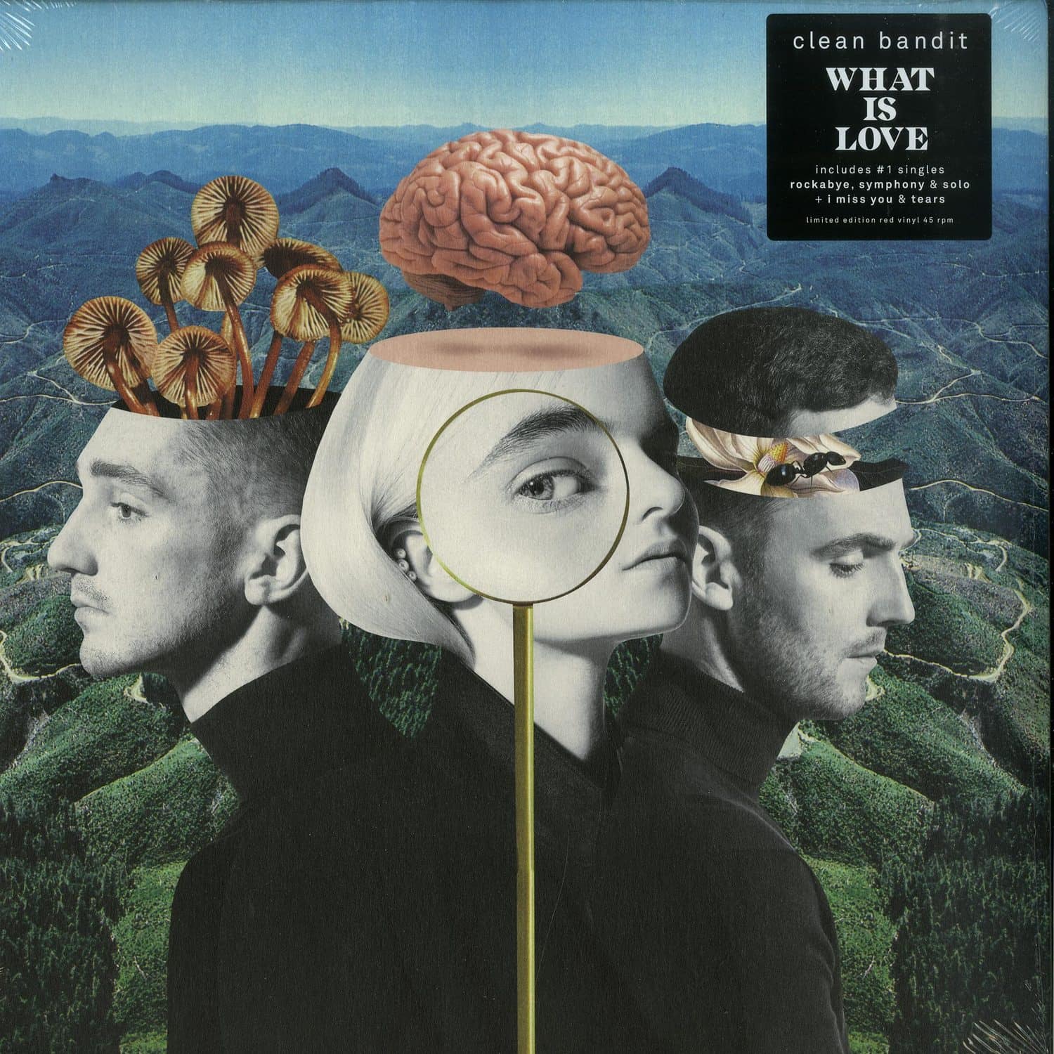 Clean Bandit - WHAT IS LOVE? 