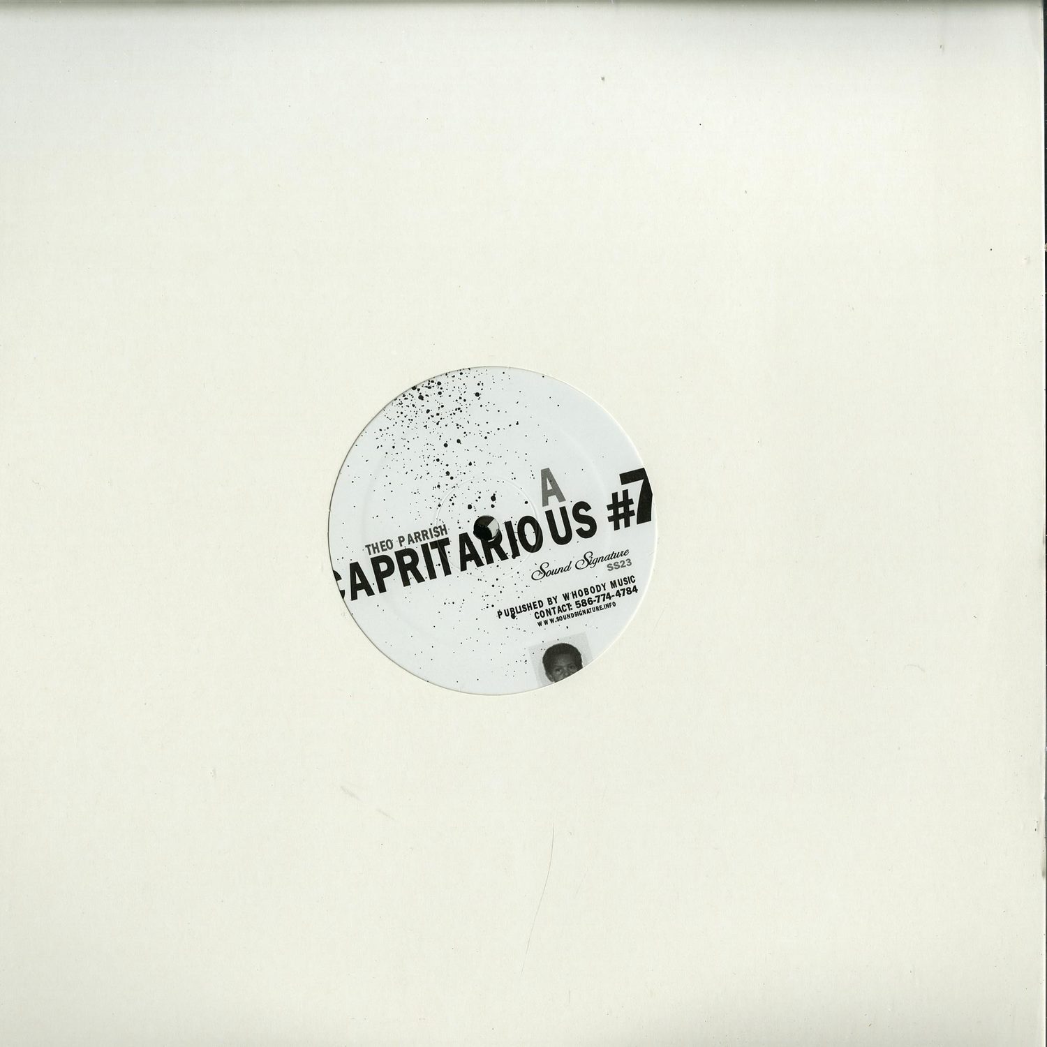 Theo Parrish - CAPRITARIUS 7 / LEVELS 