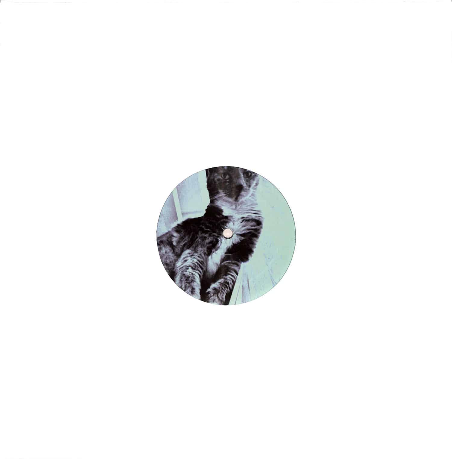 Unknown - Mystical Disco 8.5