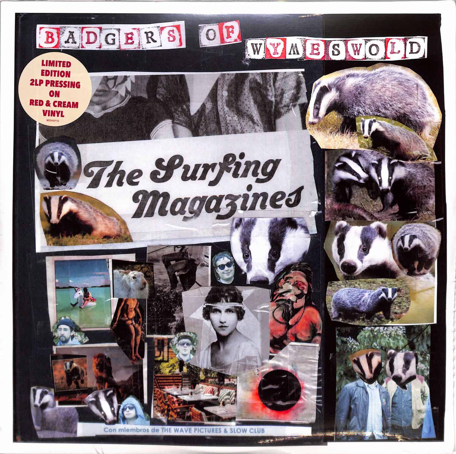 The Surfing Magazines - BADGERS OF WYMESWORD 