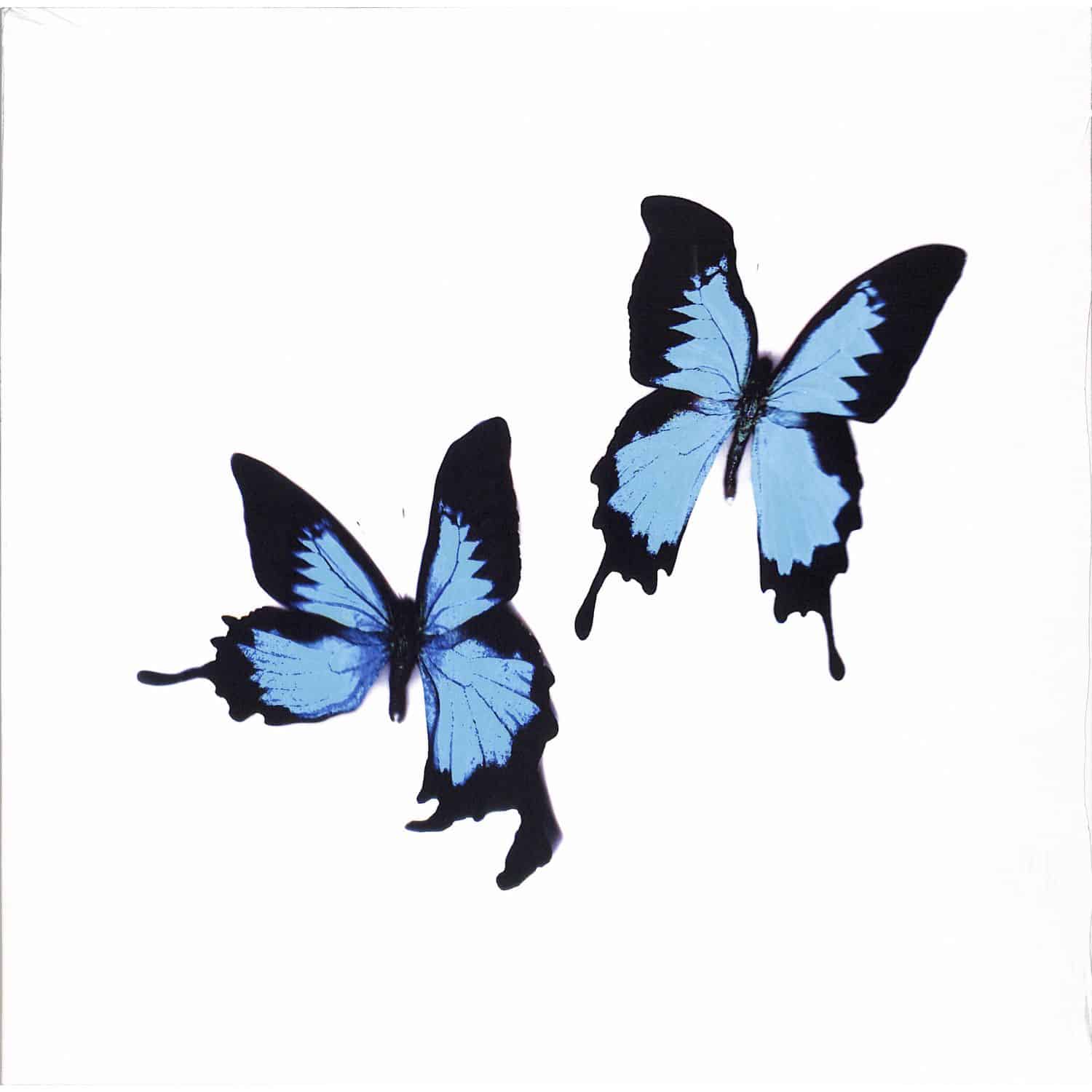 Korine - TEAR 