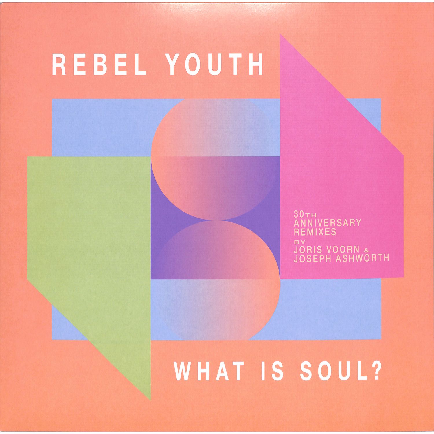 Rebel Youth - WHAT IS SOUL? 