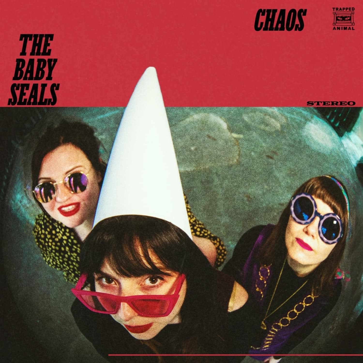 The Baby Seals - CHAOS 