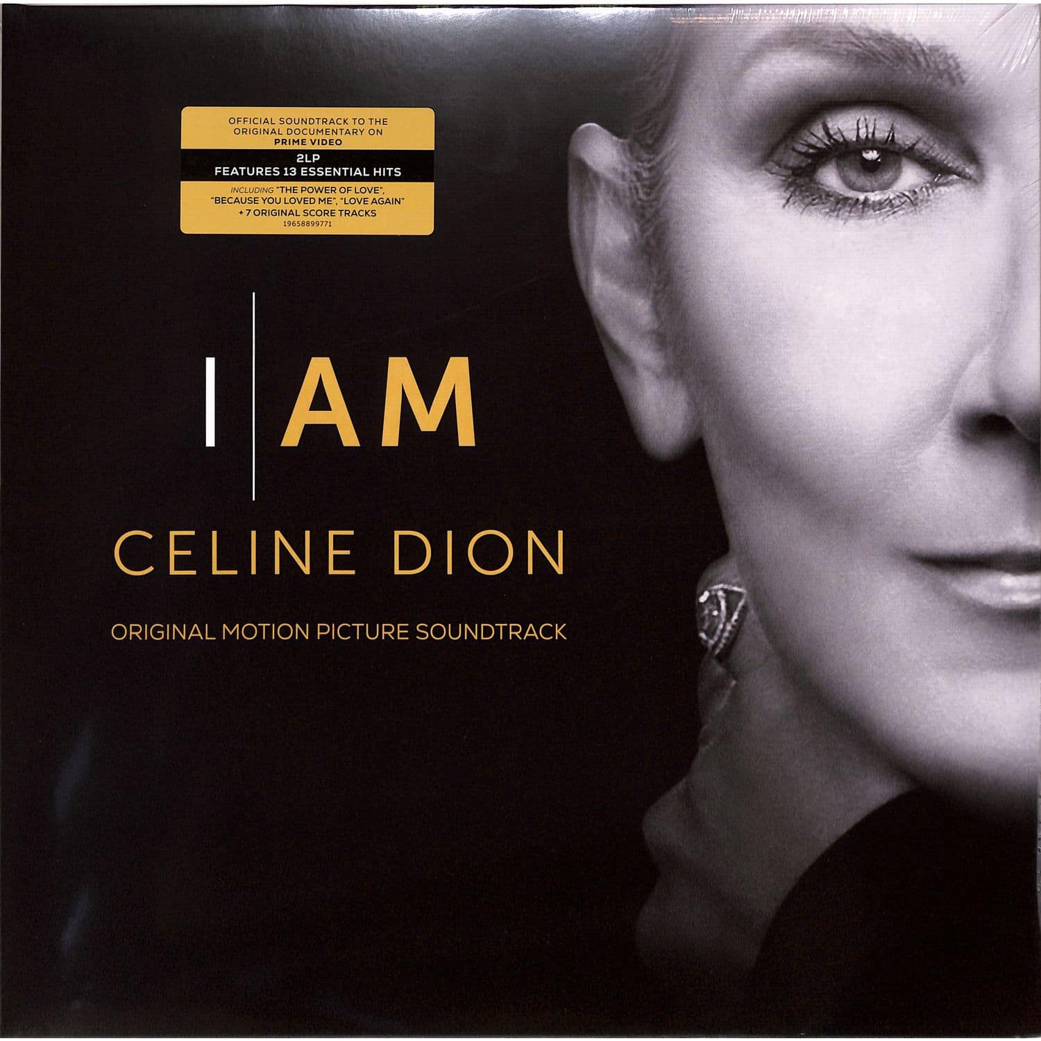 Celine Dion - I AM: CELINE DION 