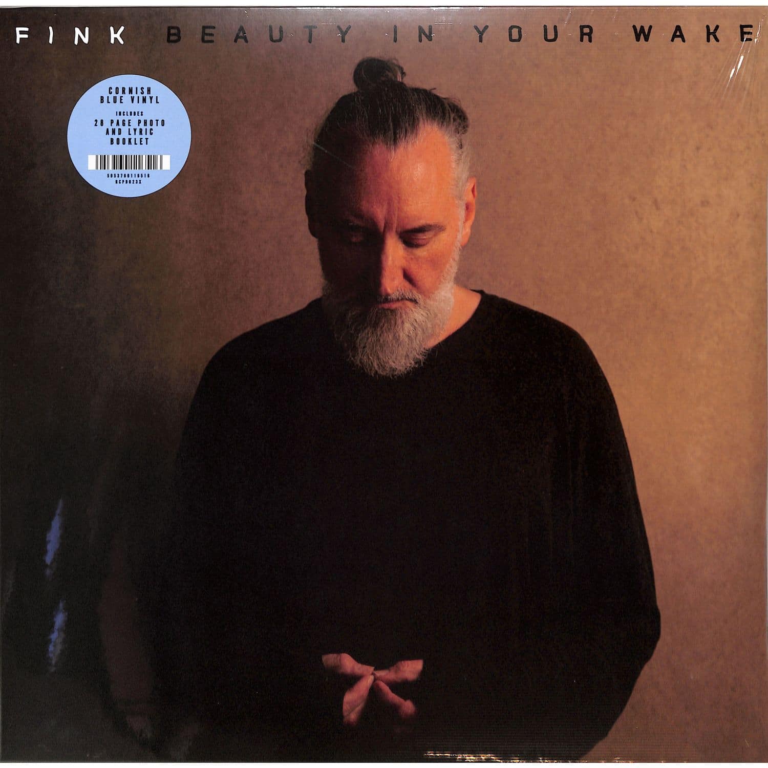 Fink - BEAUTY IN YOUR WAKE 