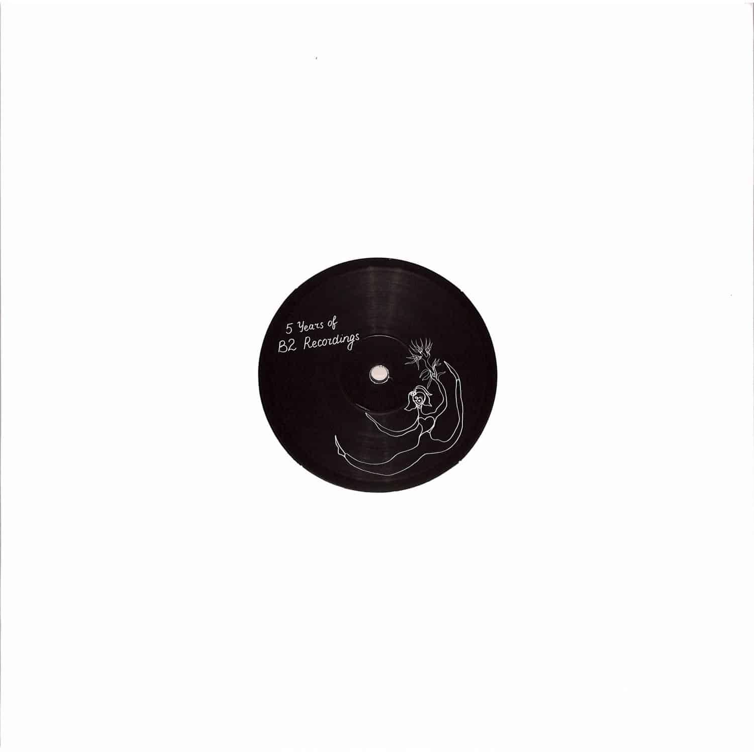 Brawther / Bengoa / Lex / Locke / Zaq - 5 YEARS OF B2 RECORDINGS