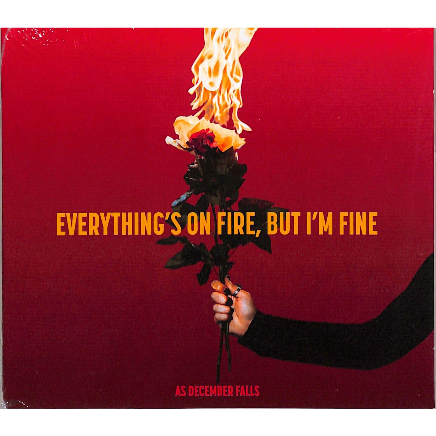 As December Falls - EVERYTHING S ON FIRE BUT I M FINE 