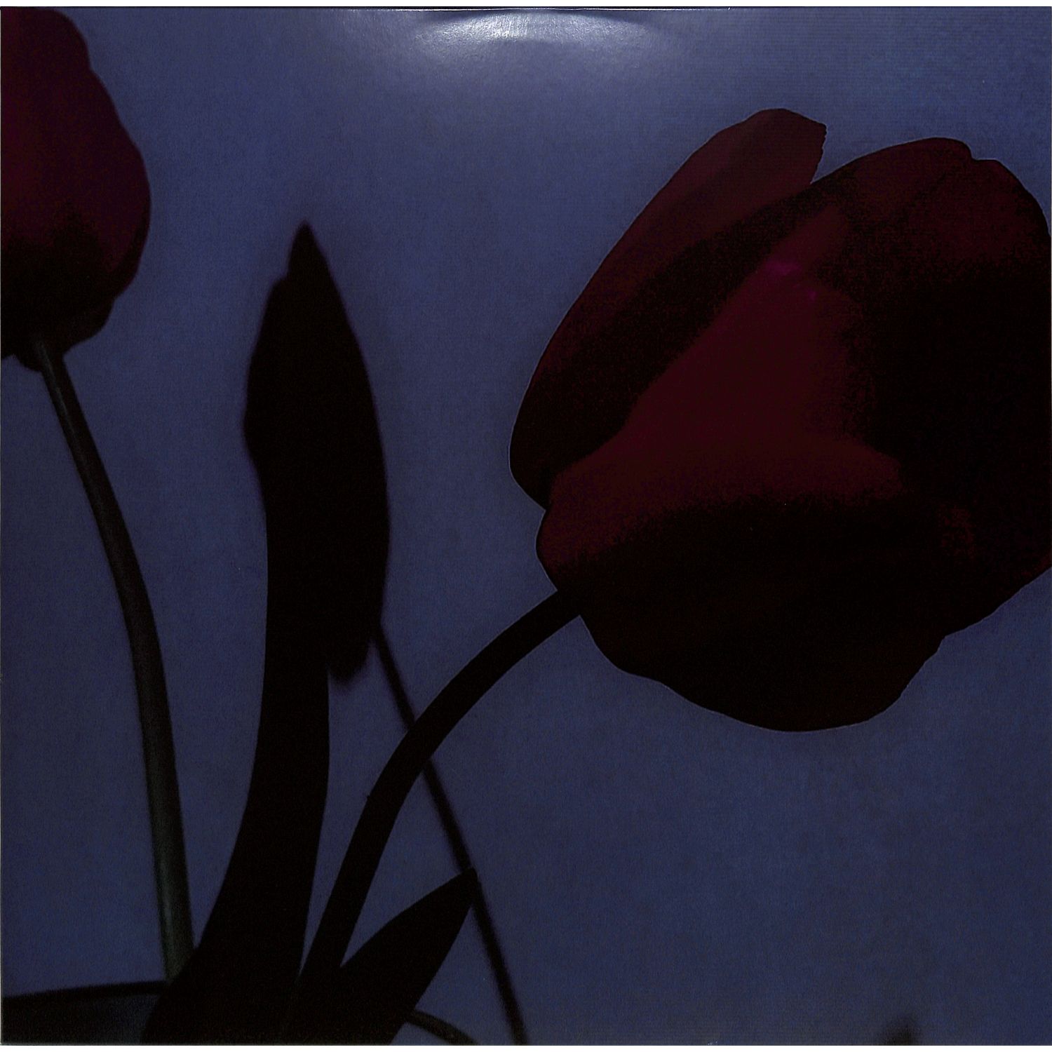 Various Artists - A MODEL KIT