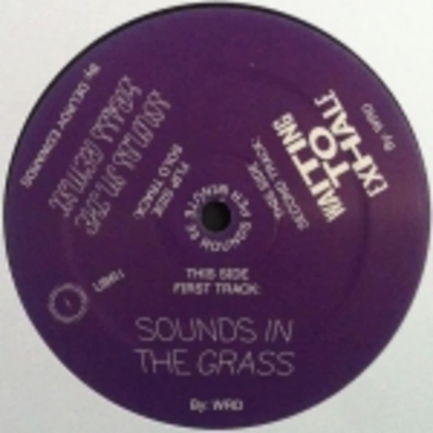 WRD - SOUNDS IN THE GRASS