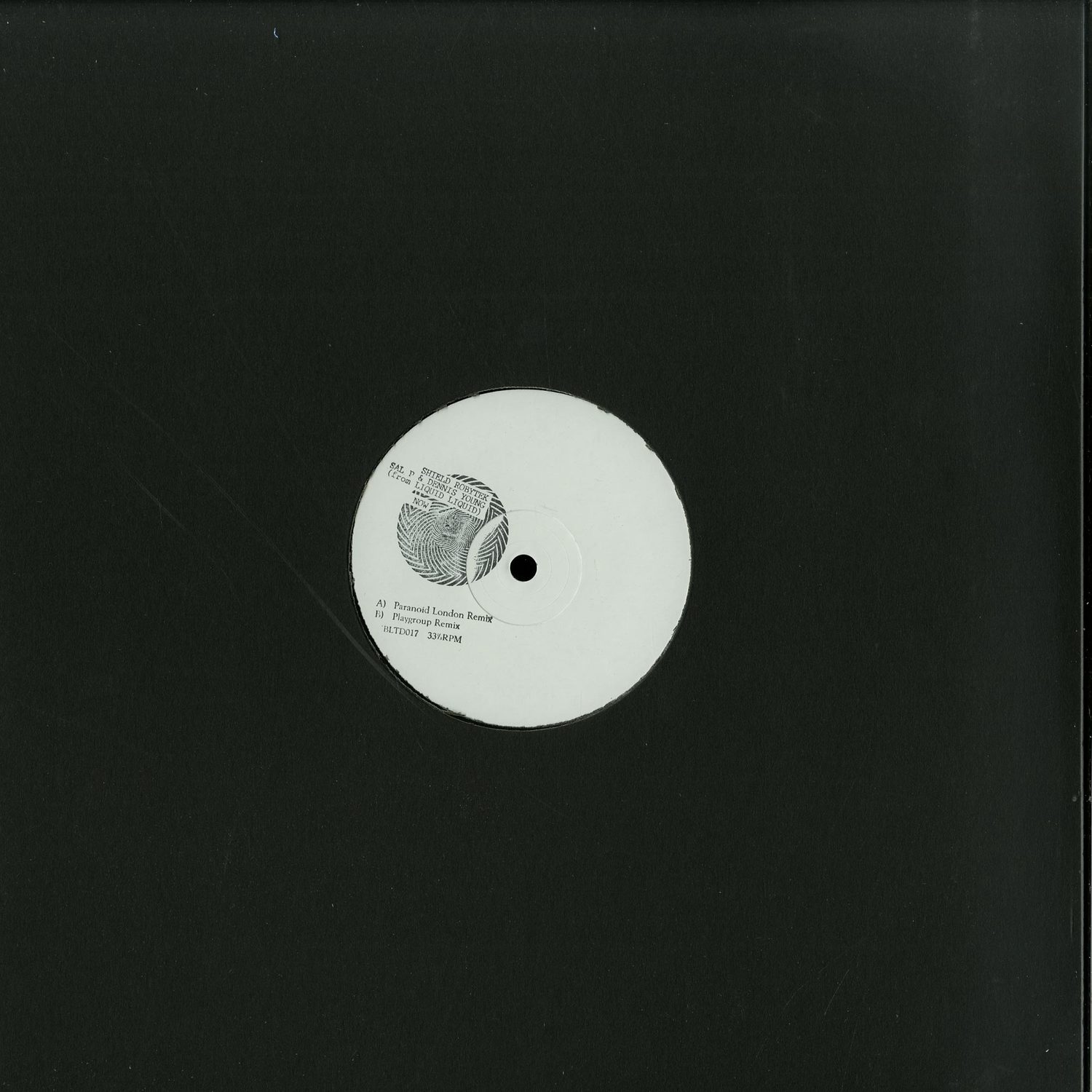 Shield & Robytek, Sal P & Dennis Young - NOW 