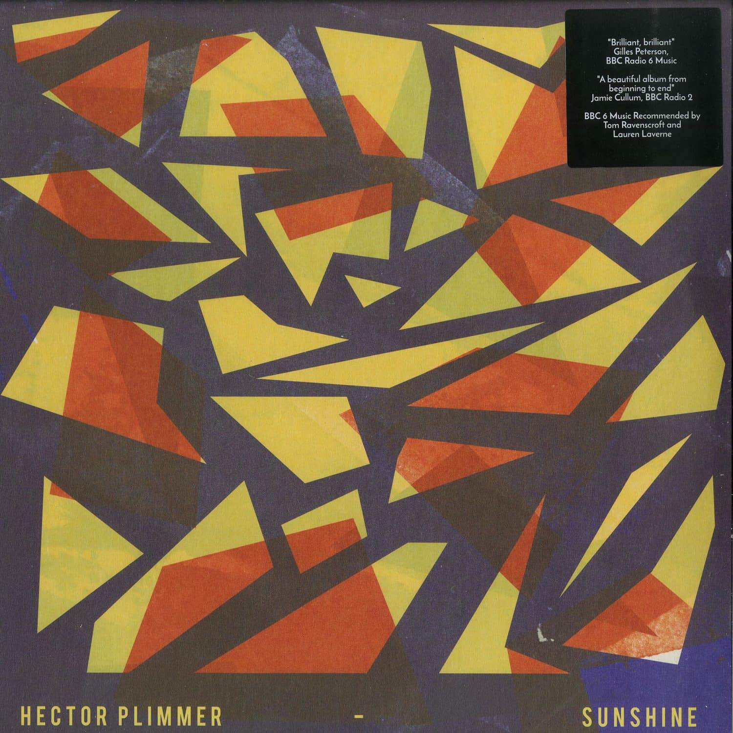 Hector Plimmer - SUNSHINE