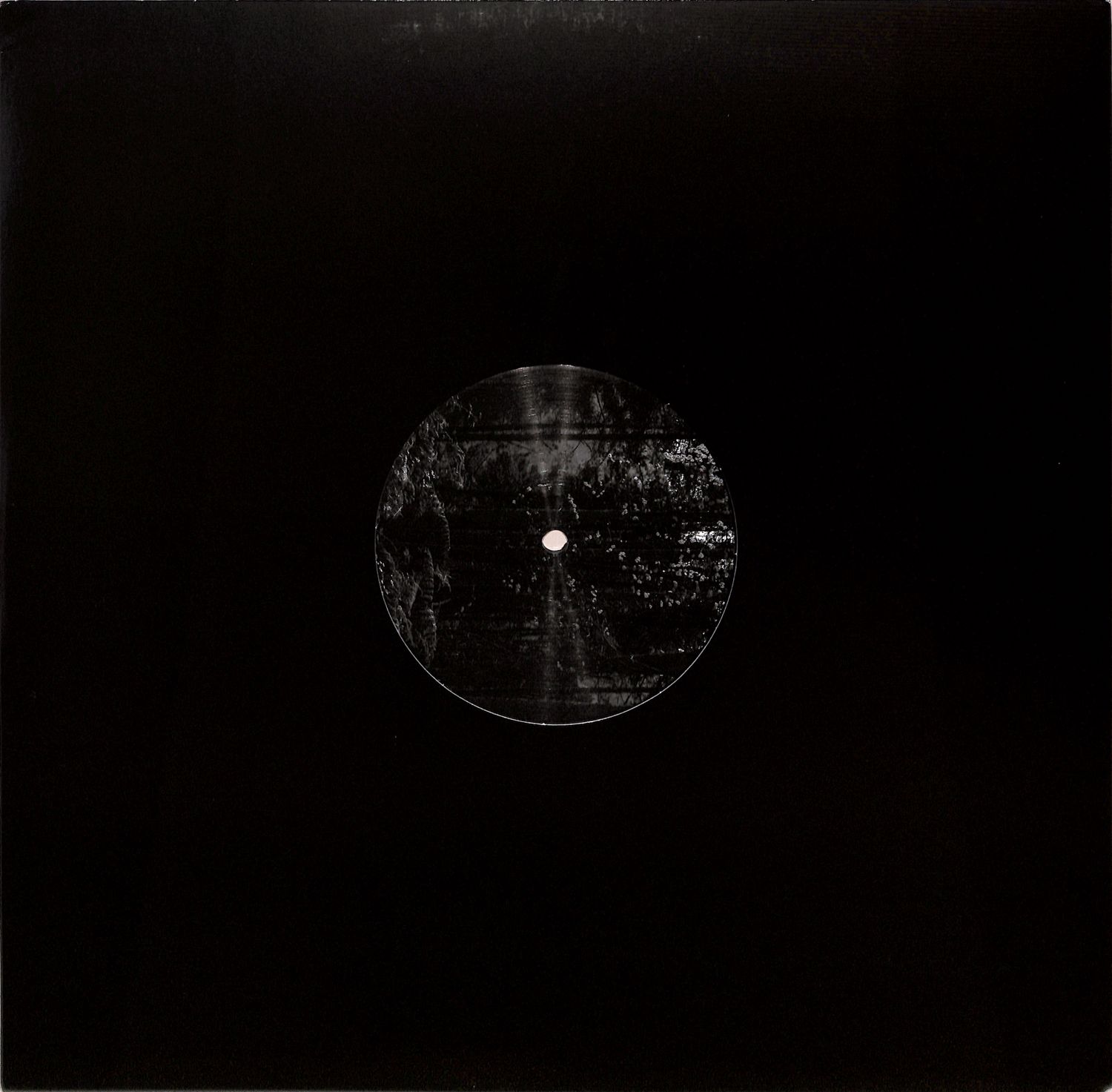 Francois Dillinger - ICOSAHEDRONE