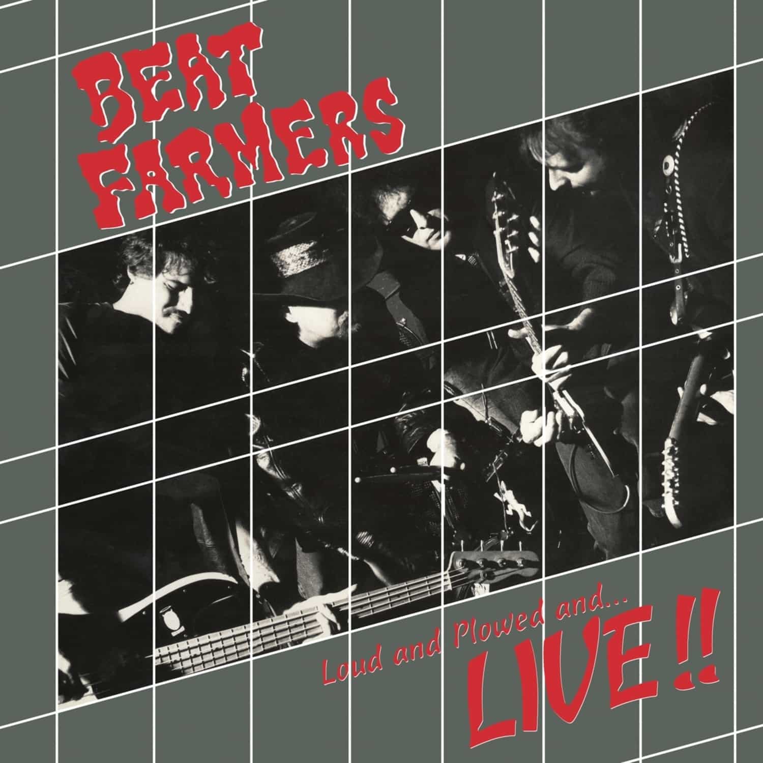 Beat Farmers - LOUD AND PLOWED AND...LIVE!! 