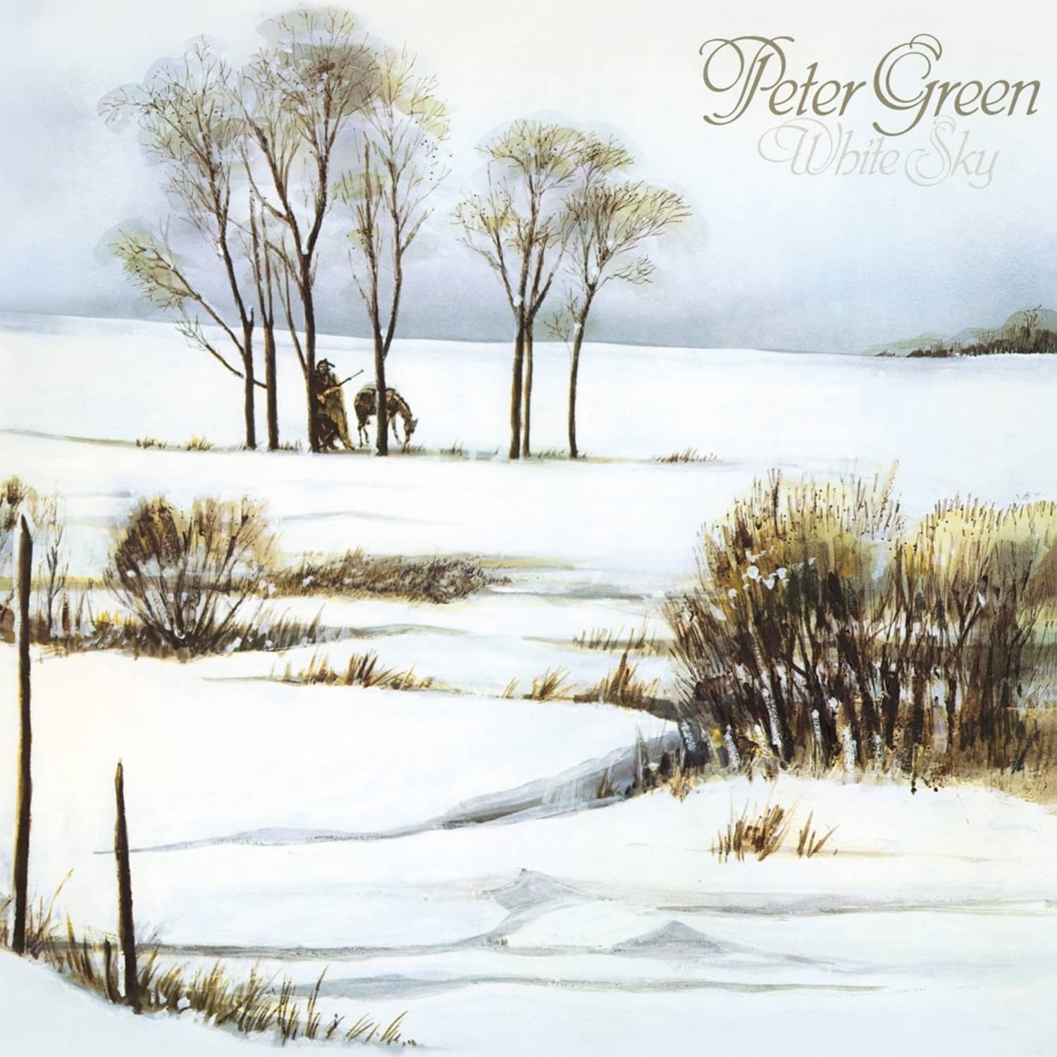 Peter Green - WHITE SKY 