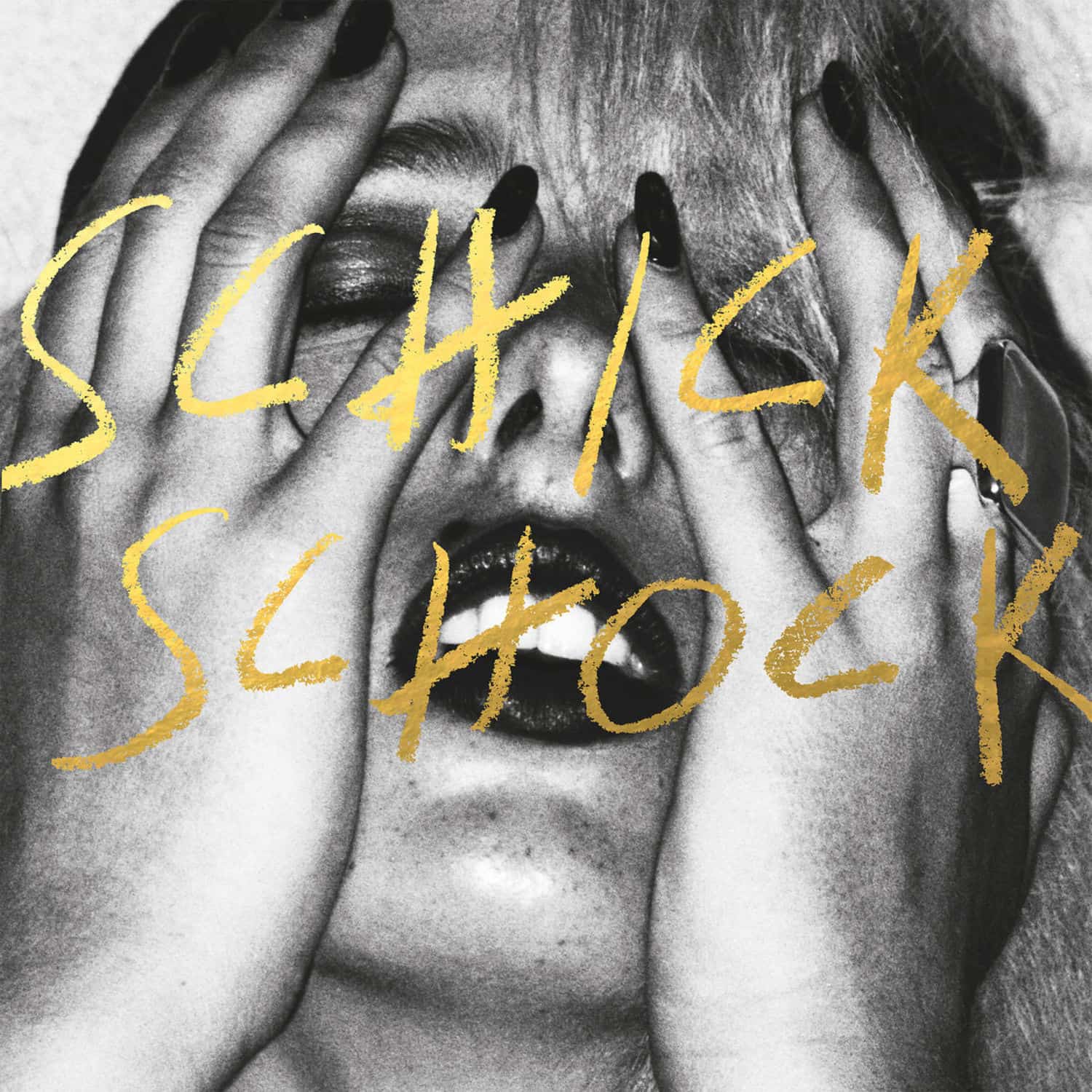 Bilderbuch - SCHICK SCHOCK 