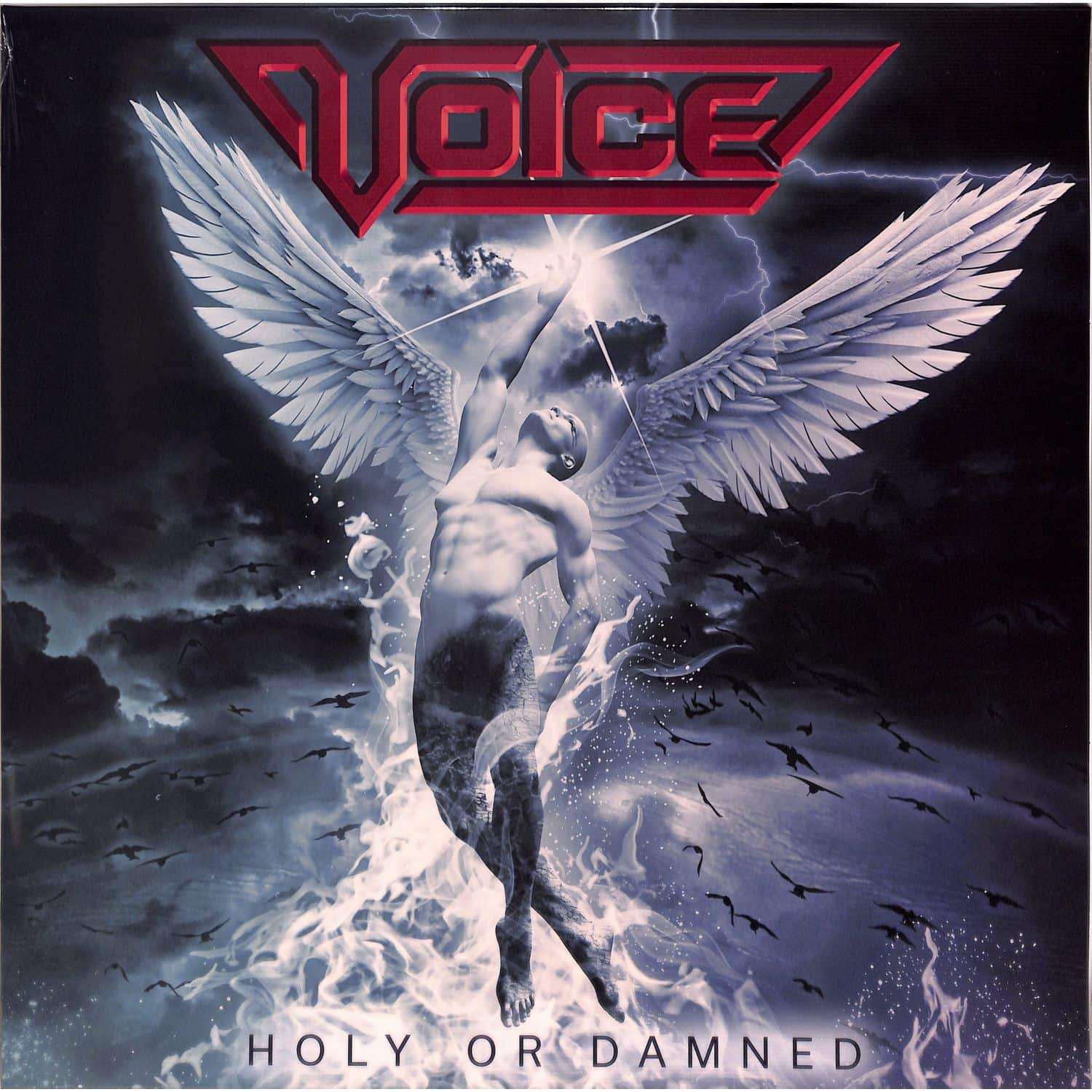 Voice - HOLY OR DAMNED 