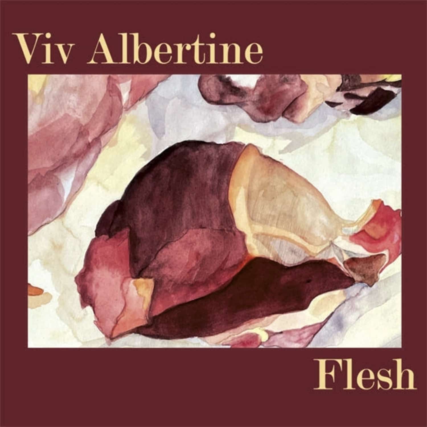 Viv Albertine - FLESH 