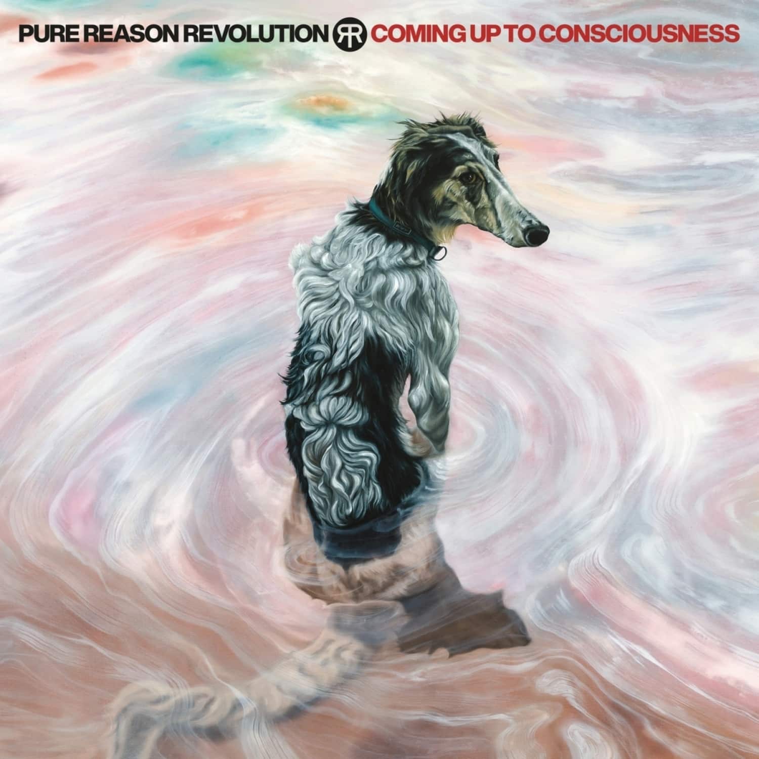 Pure Reason Revolution - COMING UP TO CONSCIOUSNESS 